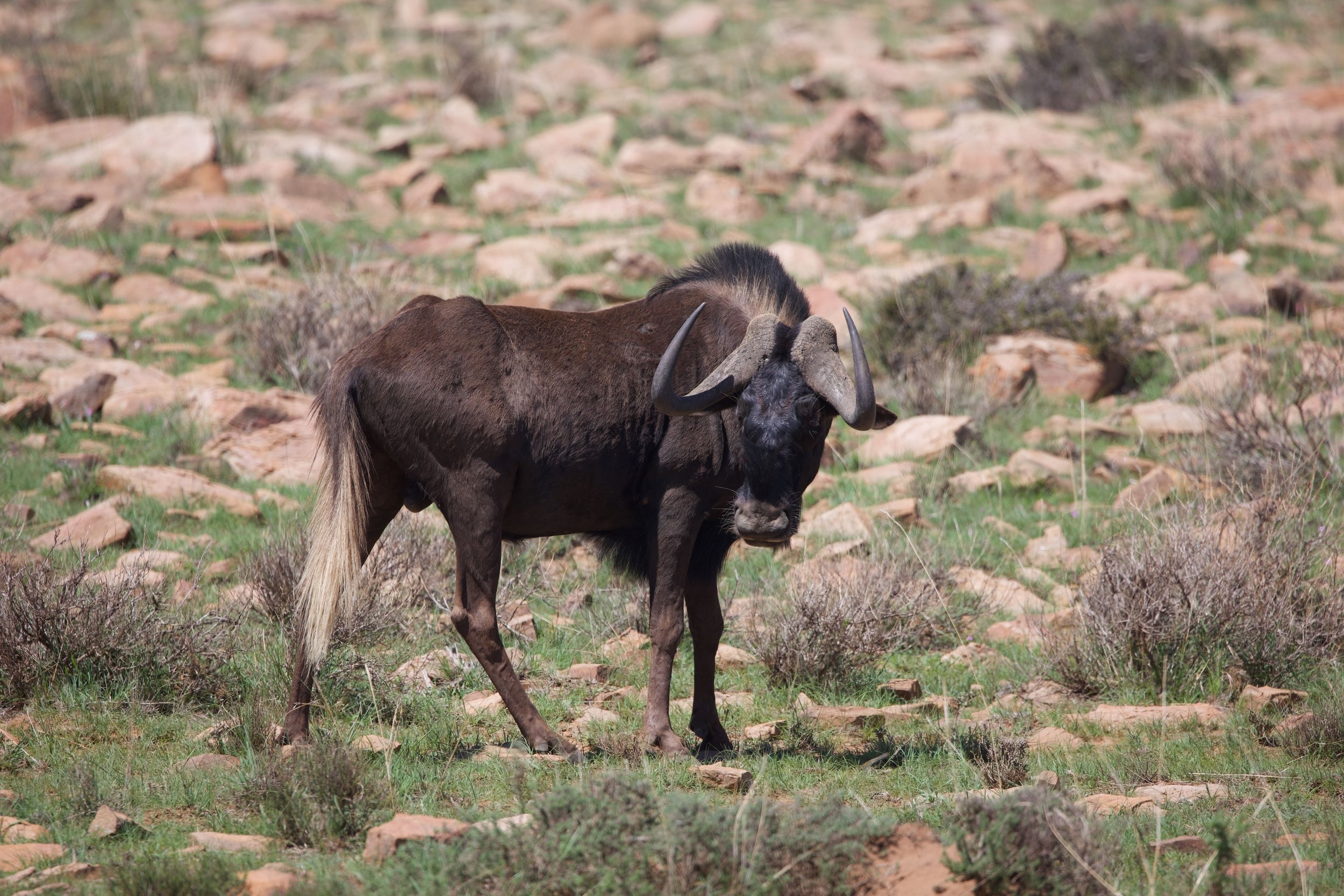 Untitled - 5 of 15.jpeg