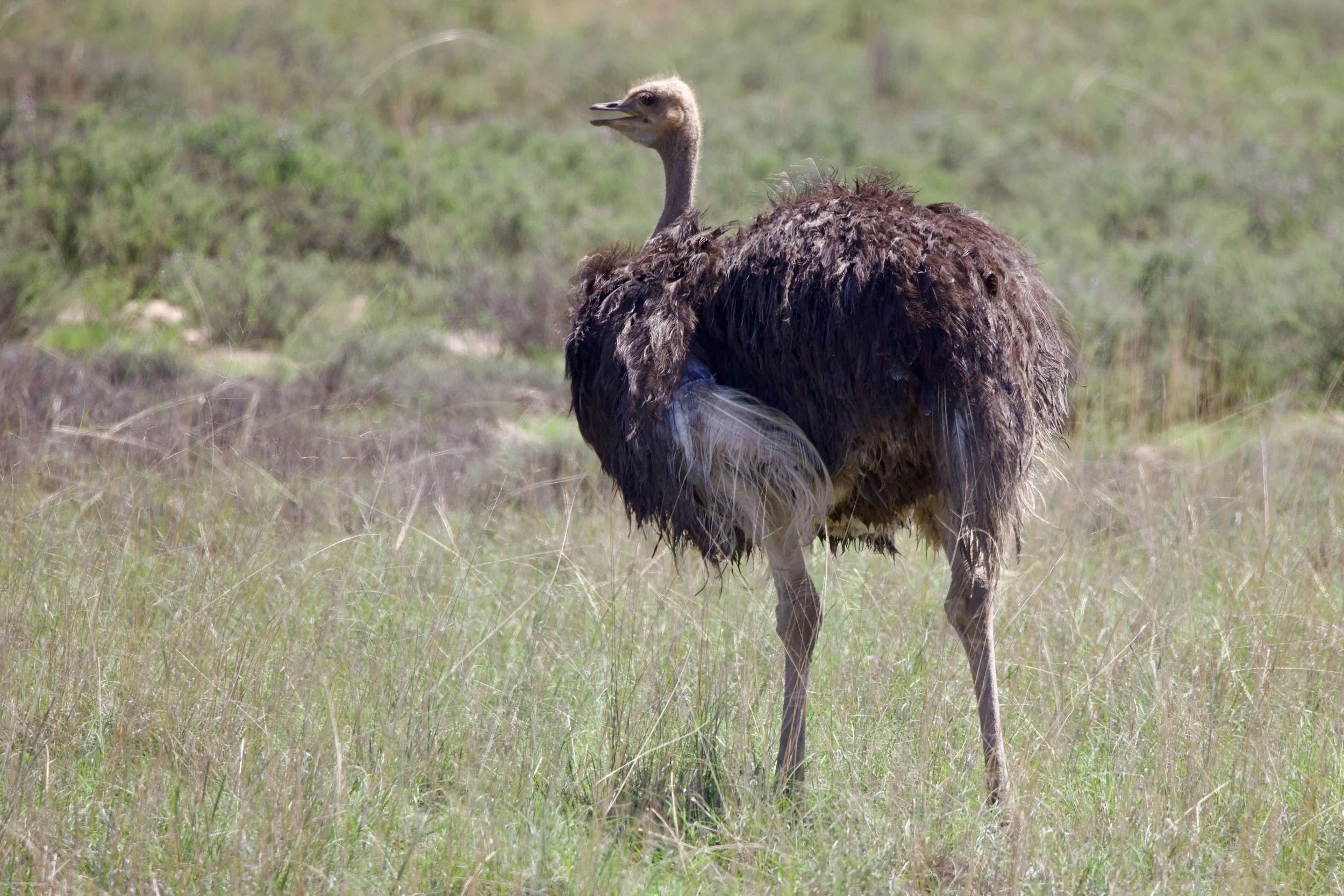 Untitled - 4 of 15.jpeg