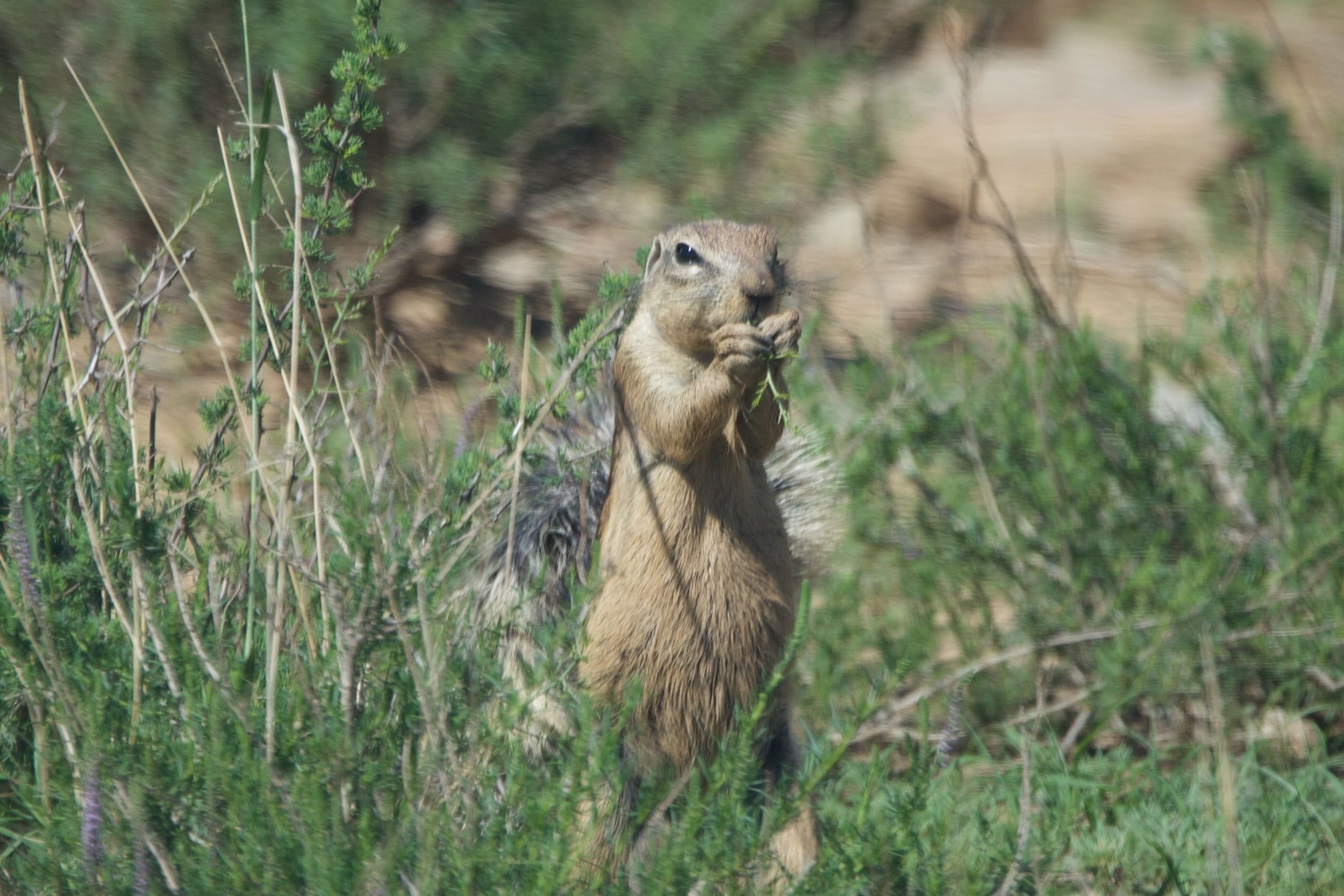 Untitled - 3 of 15.jpeg