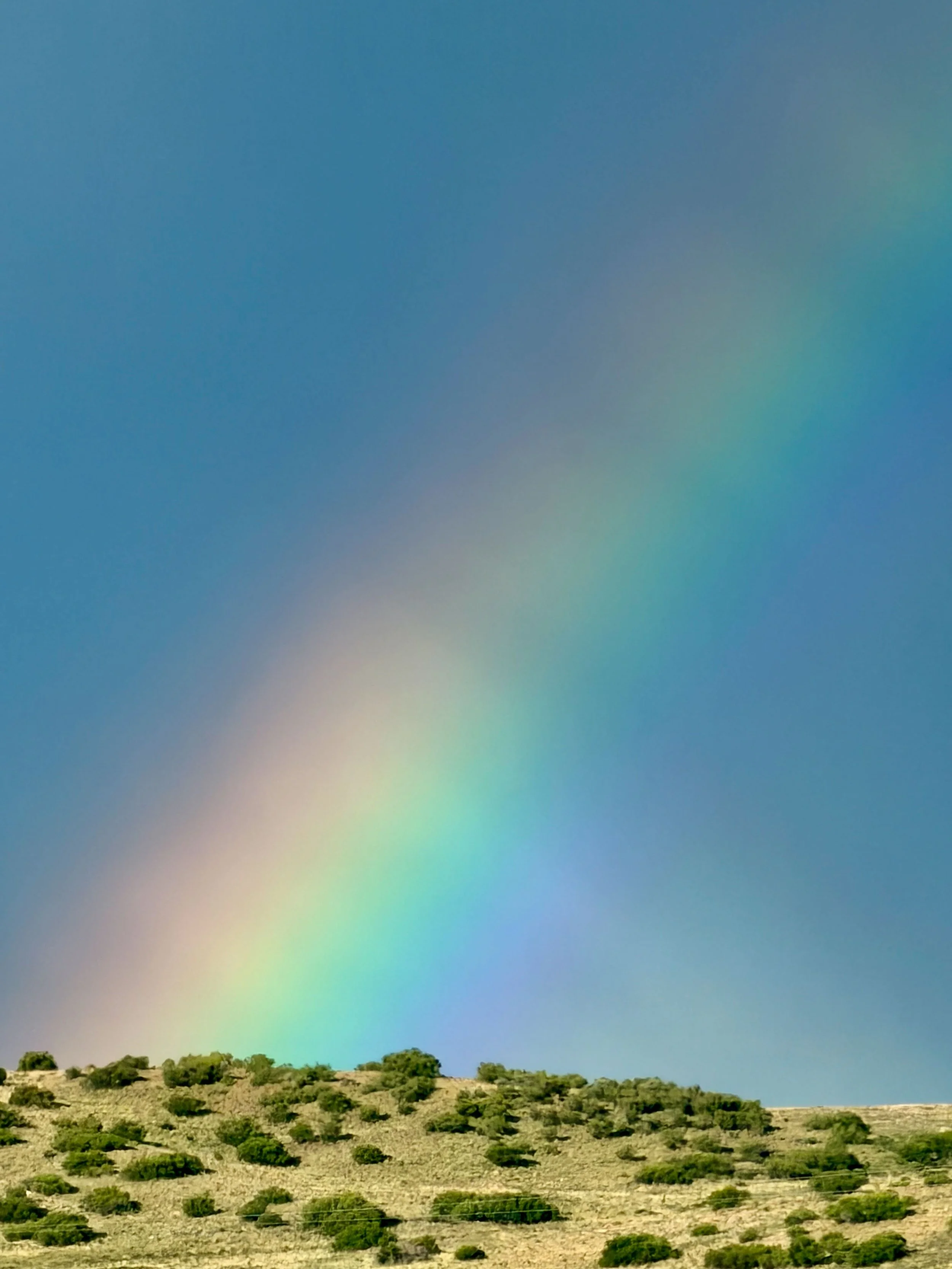 Untitled - 1 of 15.jpeg