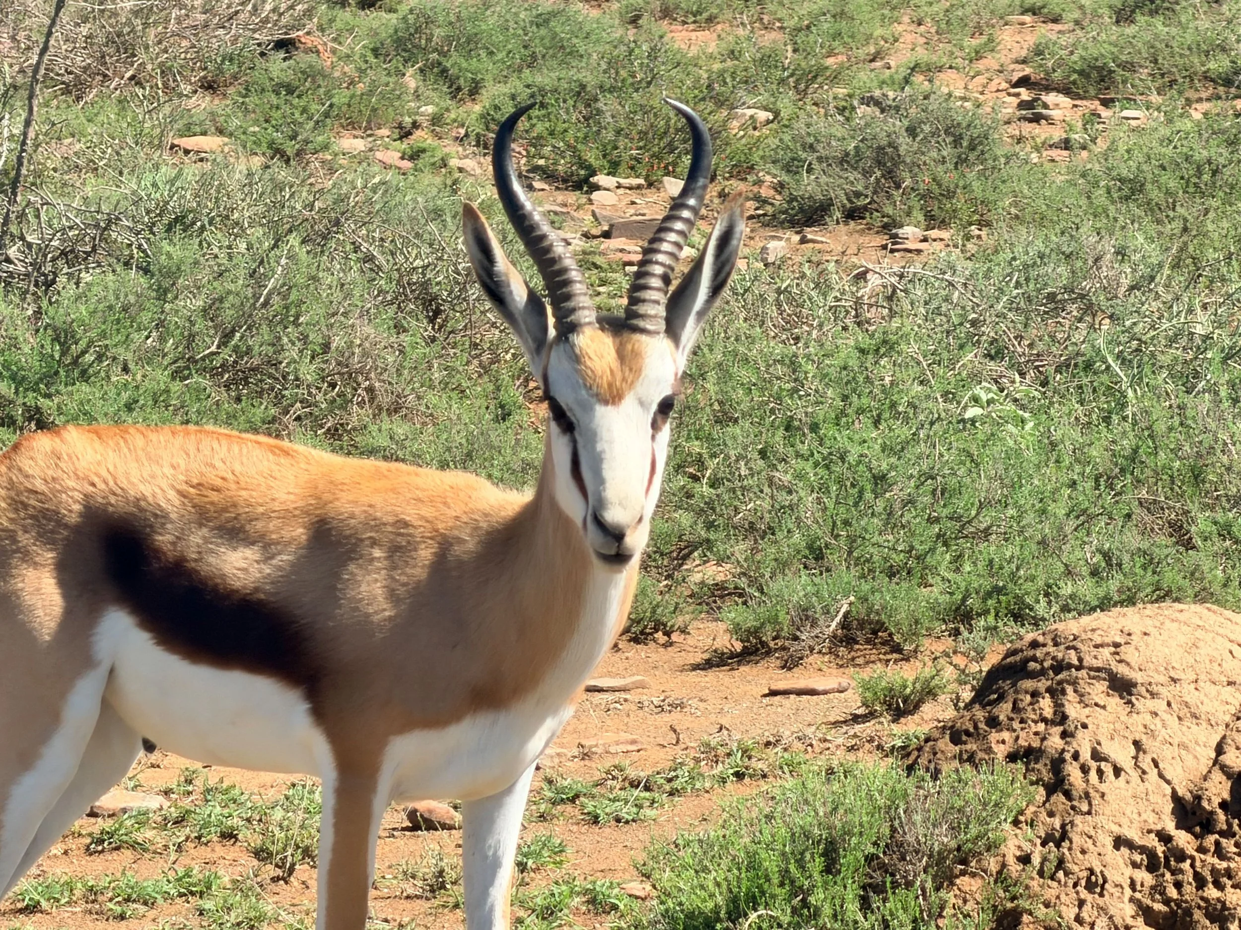 Untitled - 2 of 15.jpeg