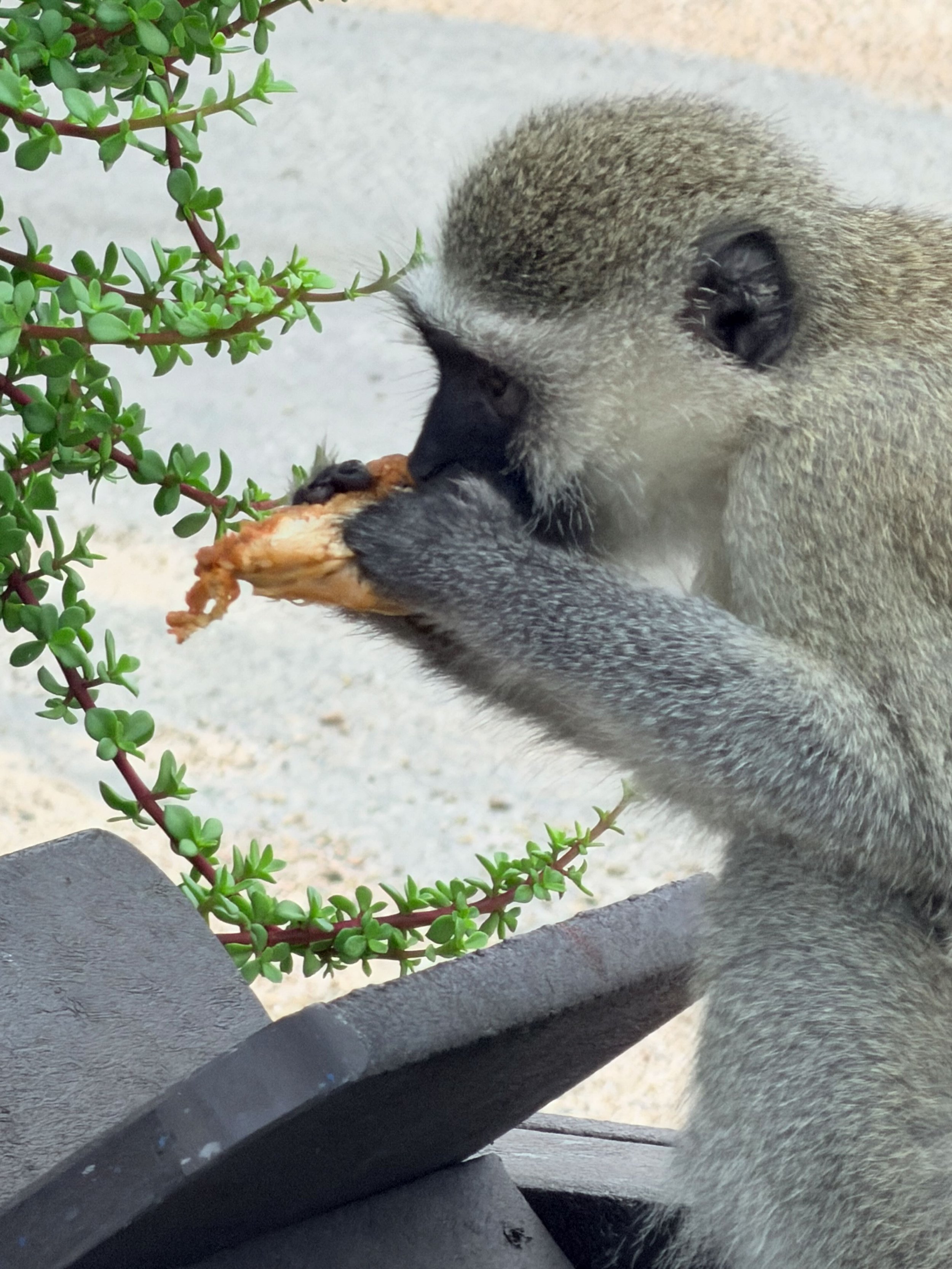 Untitled - 6 of 6.jpeg