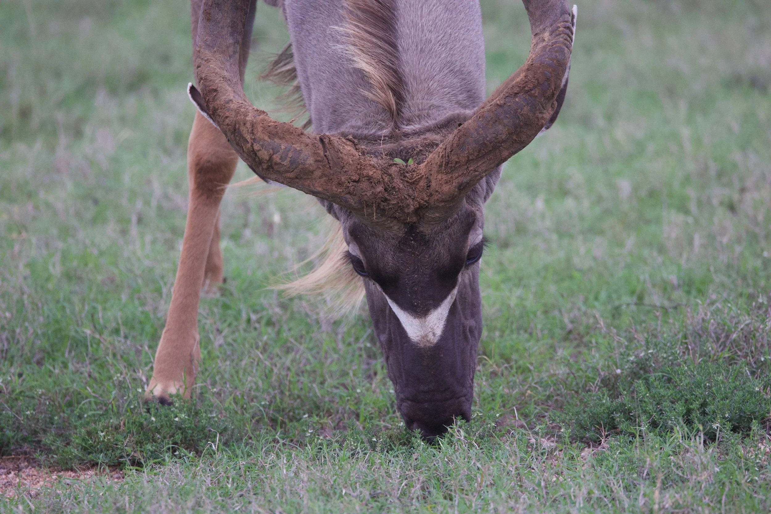 Untitled - 5 of 6.jpeg