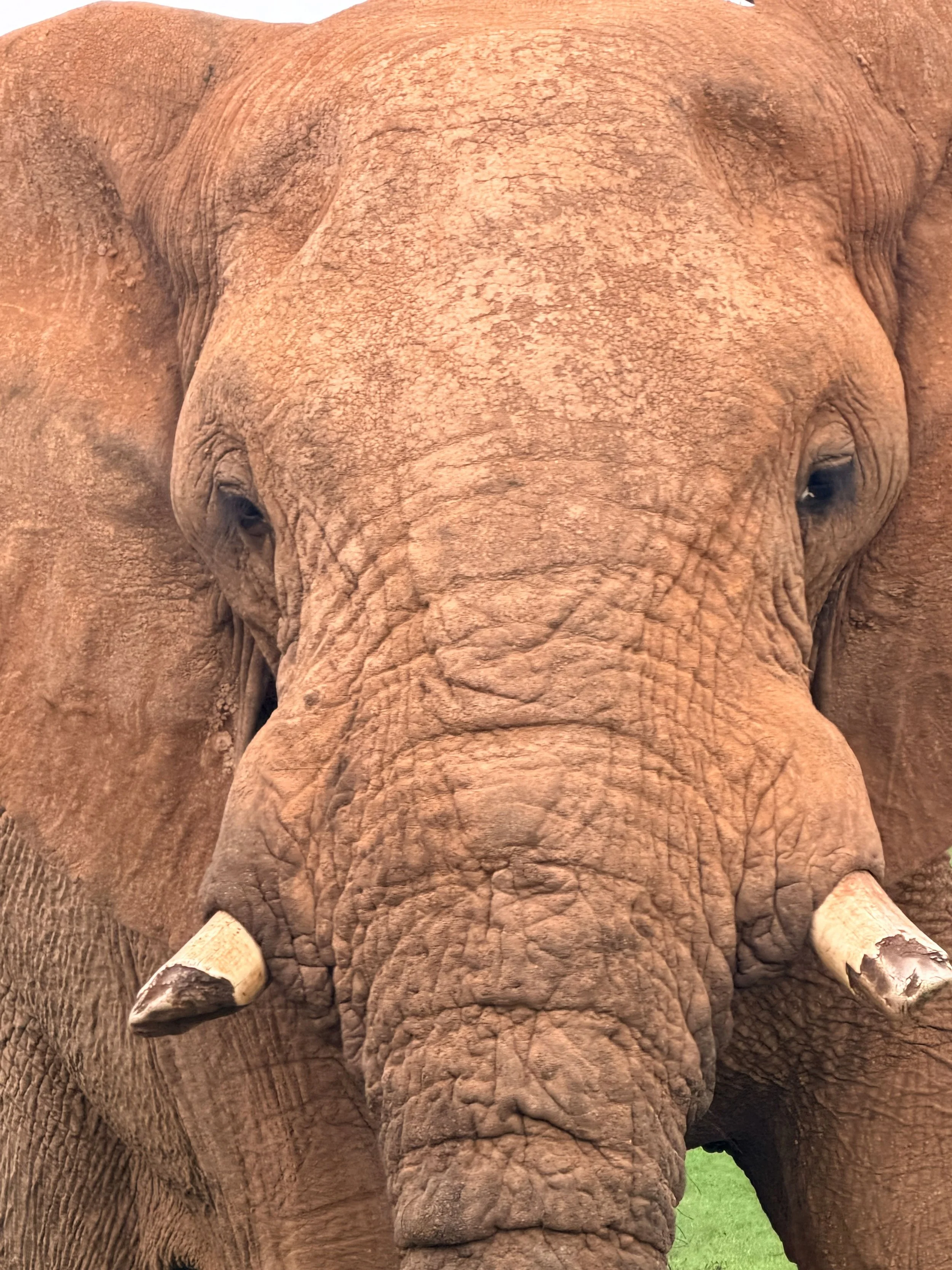 Untitled - 4 of 6.jpeg