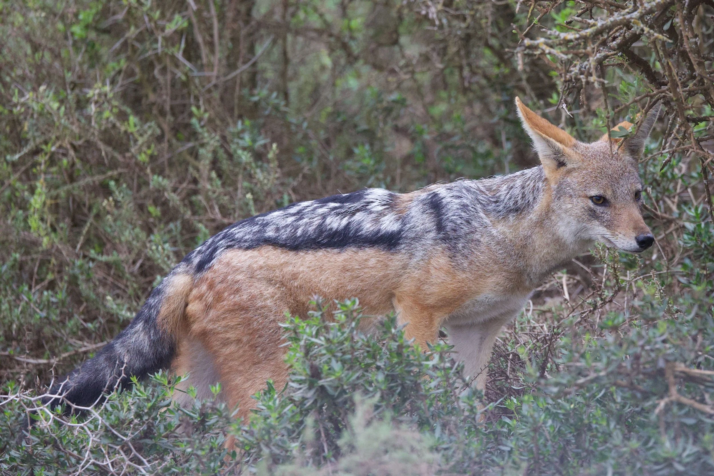 Untitled - 2 of 6.jpeg