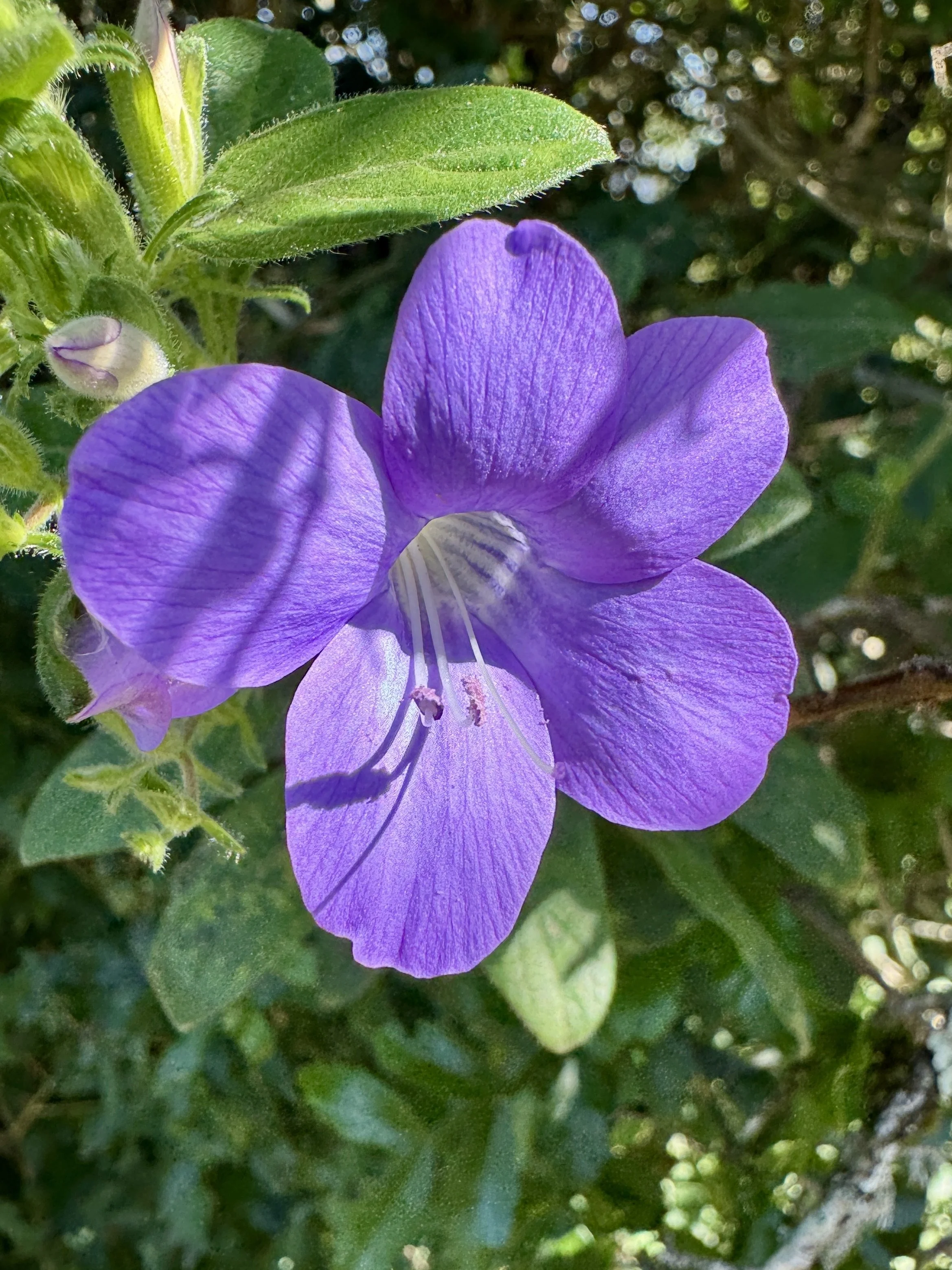 IMG_9463.JPG