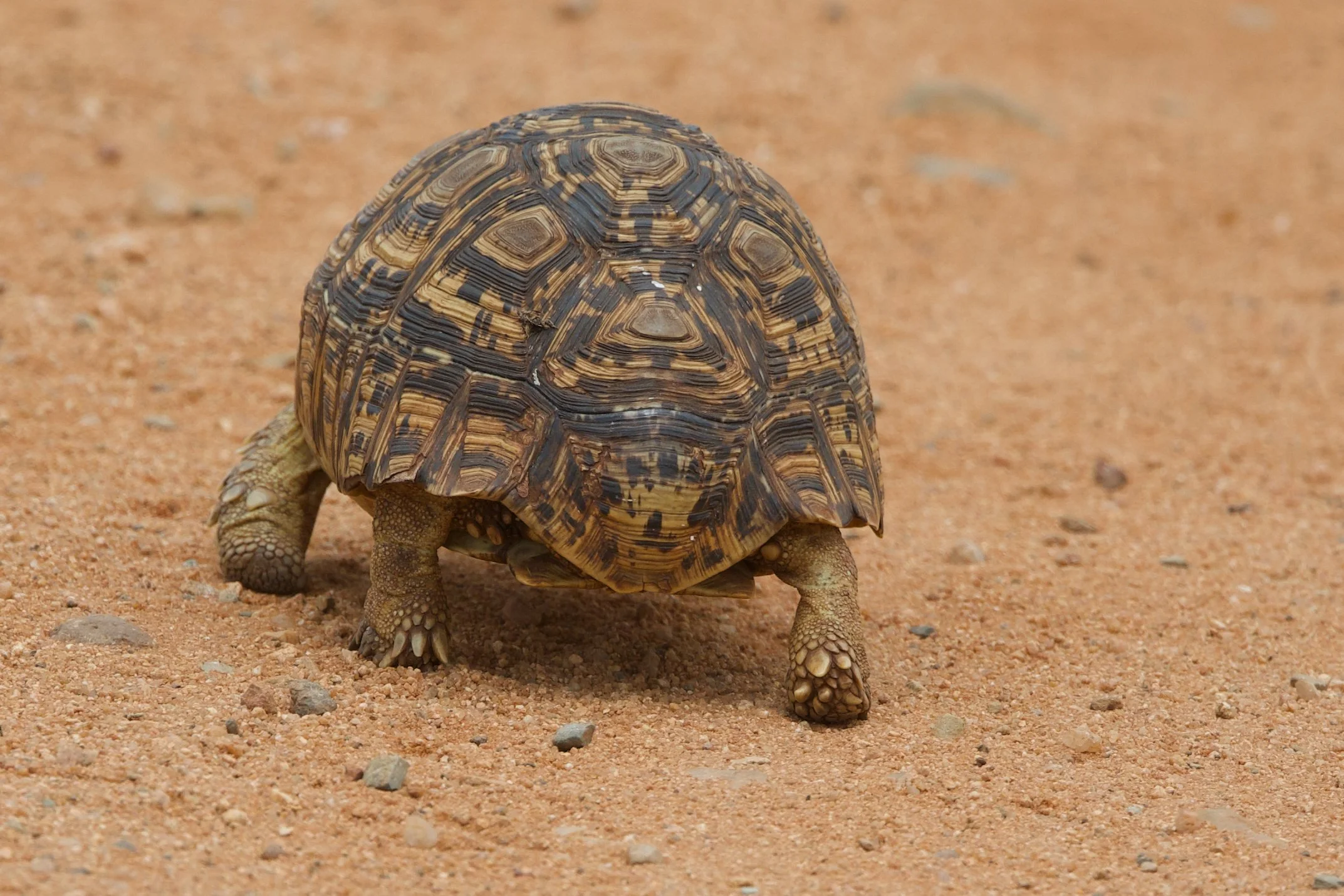 Untitled - 7 of 9.jpg