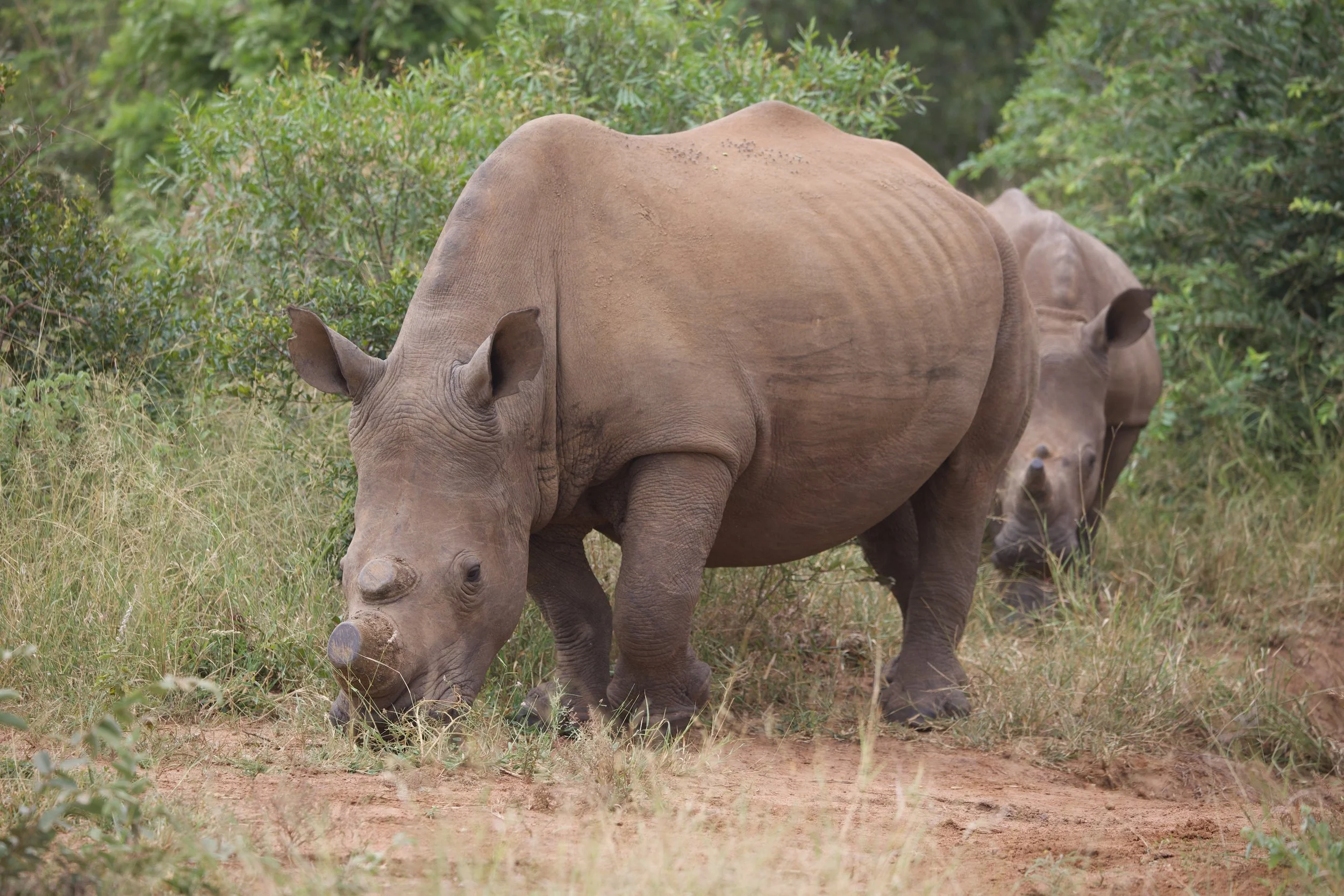 Untitled - 8 of 9.jpg