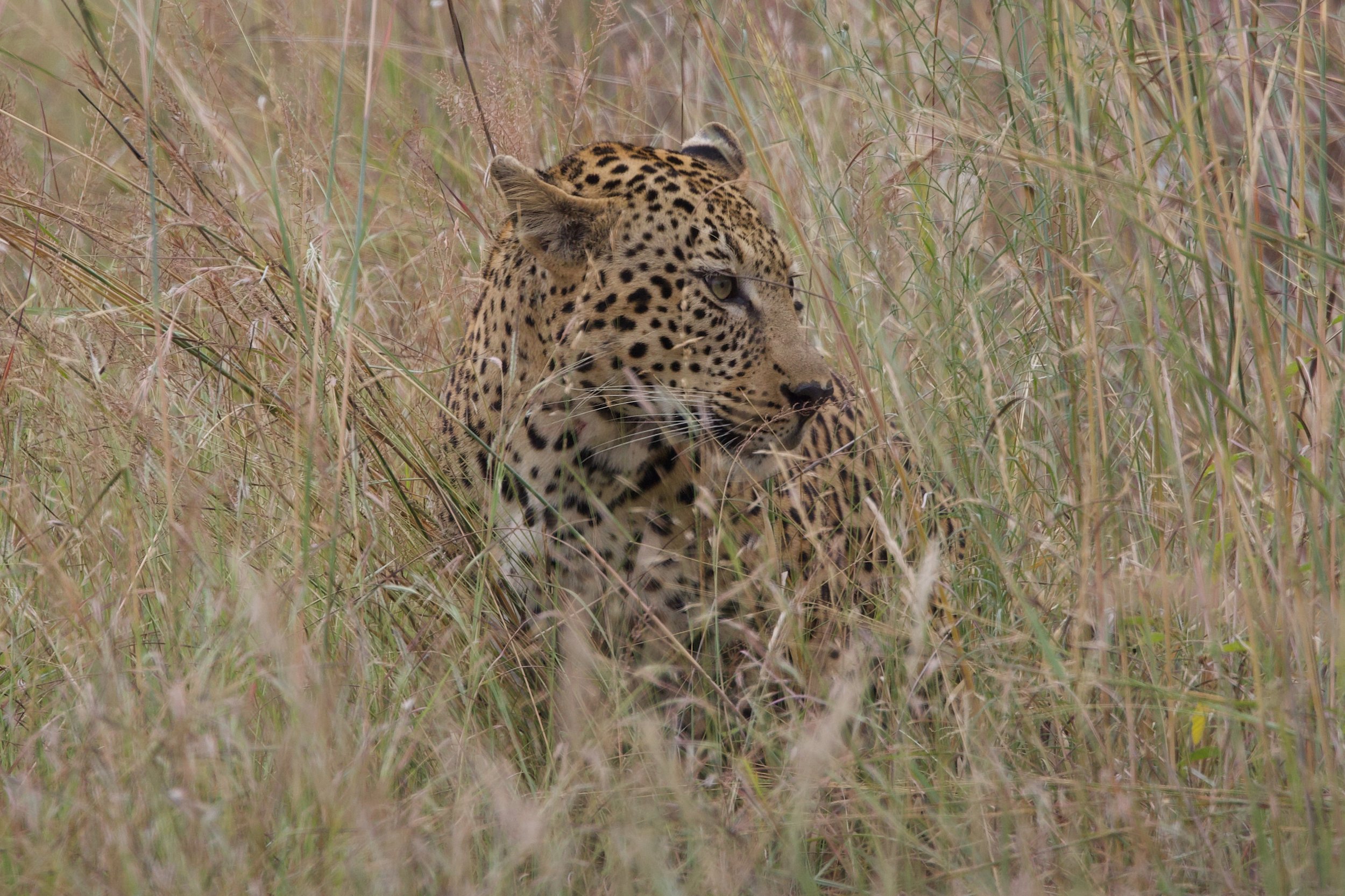 Untitled - 5 of 9.jpg