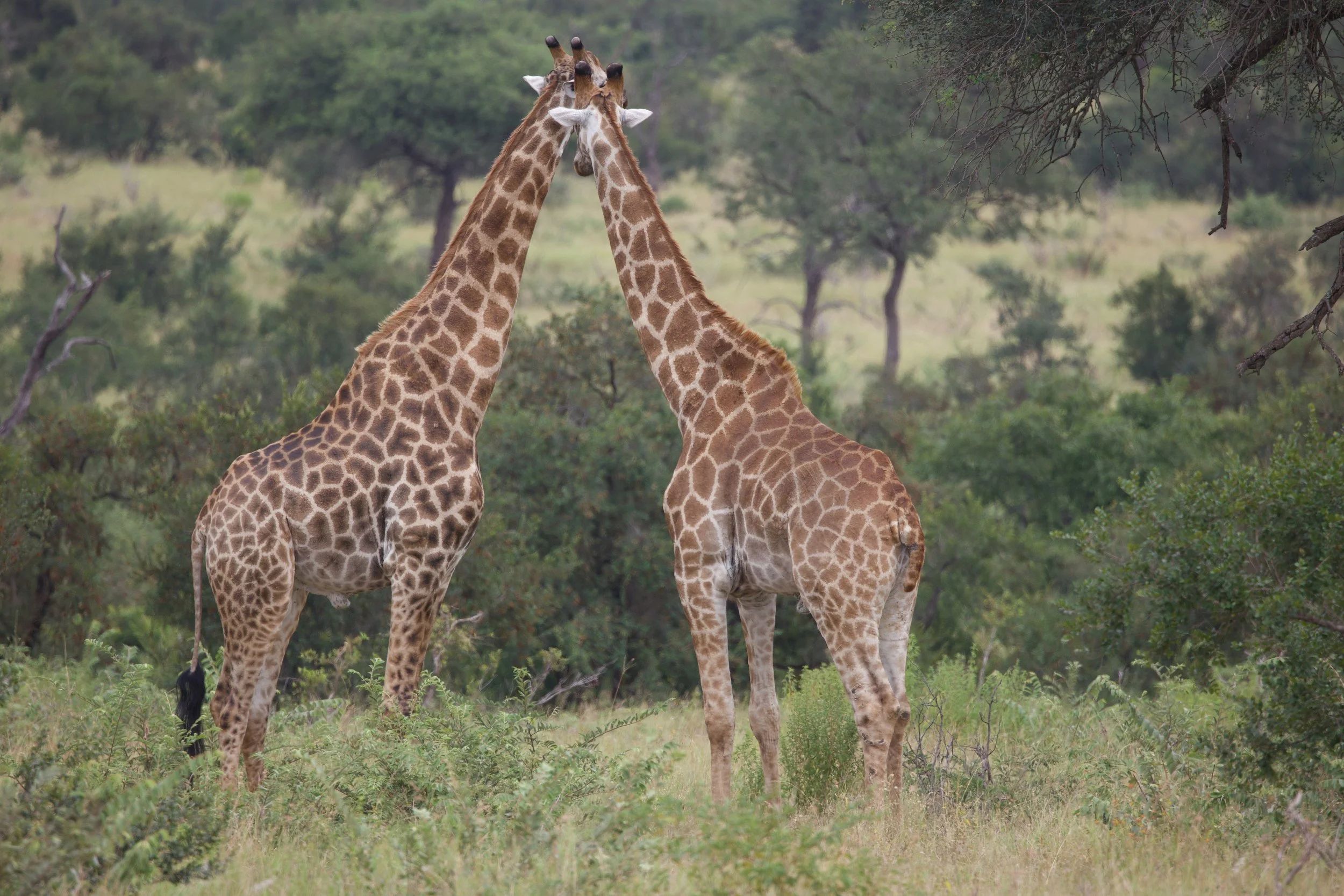 Untitled - 6 of 9.jpg