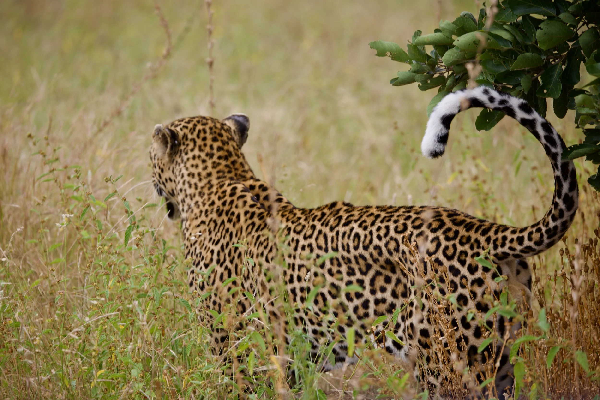 Untitled - 3 of 9.jpg