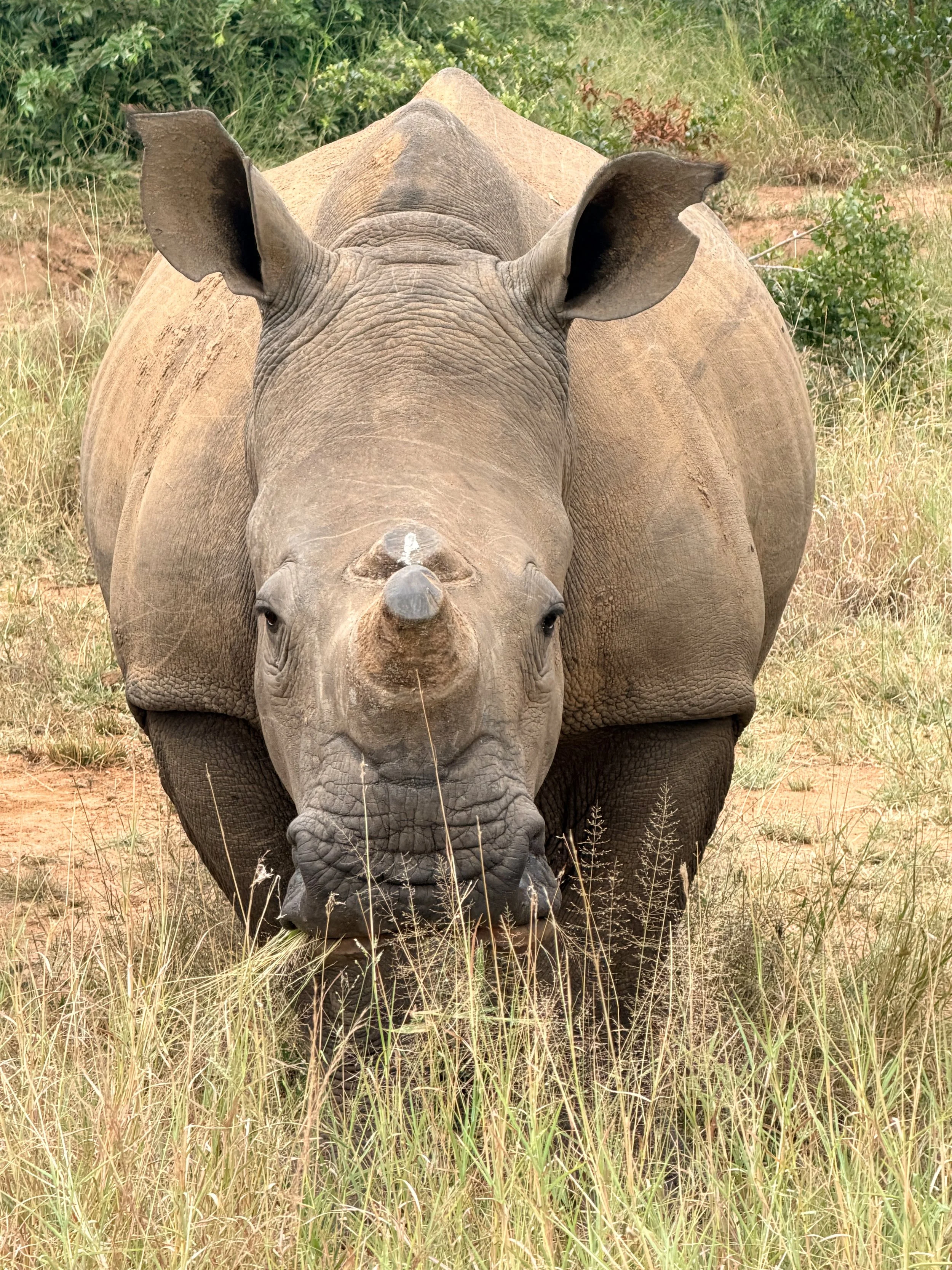 Untitled - 1 of 9.jpg