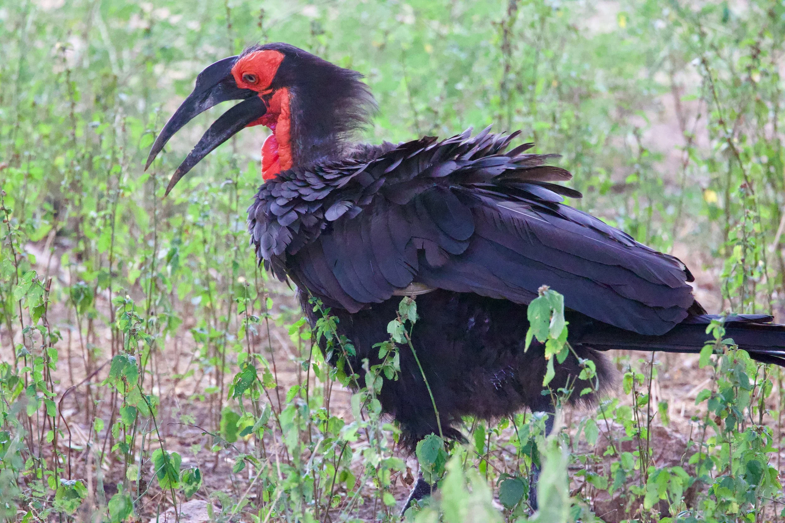 Untitled - 1 of 8.jpg