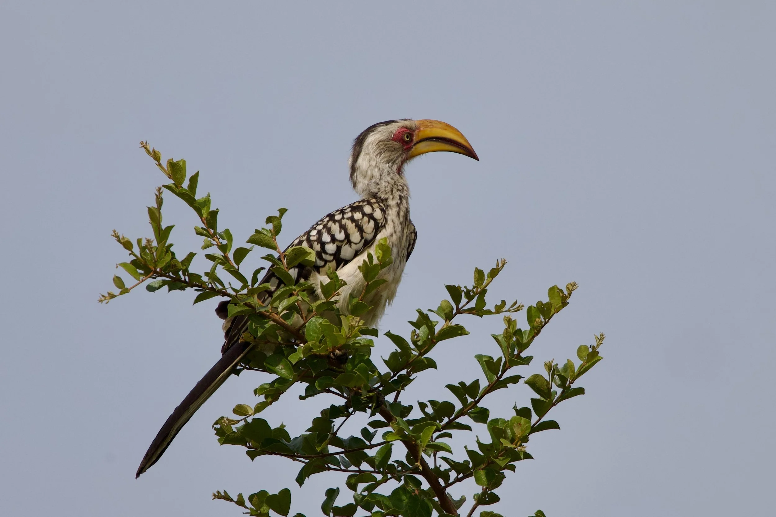 Untitled - 6 of 8.jpg