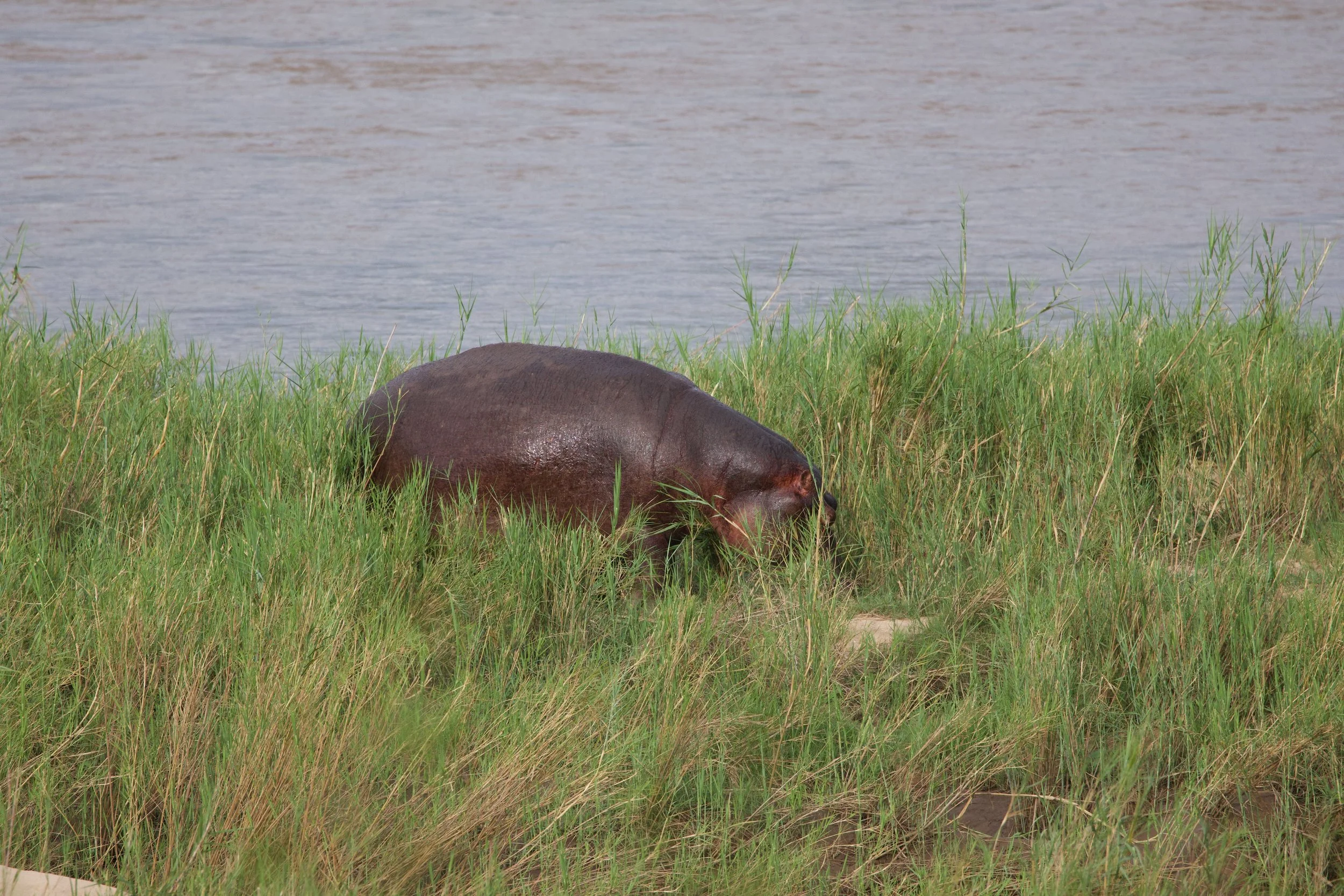 Untitled - 4 of 8.jpg