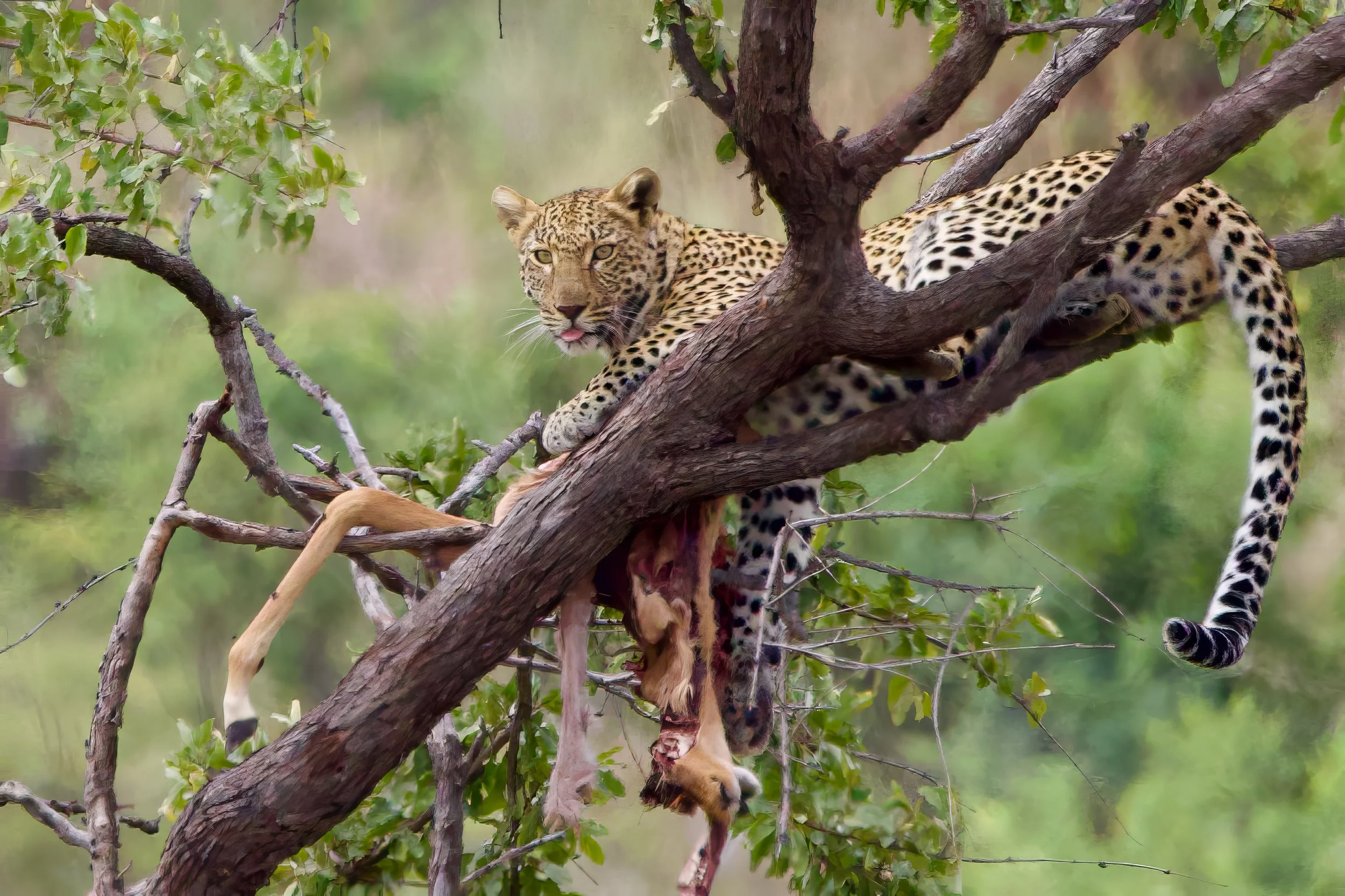 Untitled - 1 of 14.jpeg