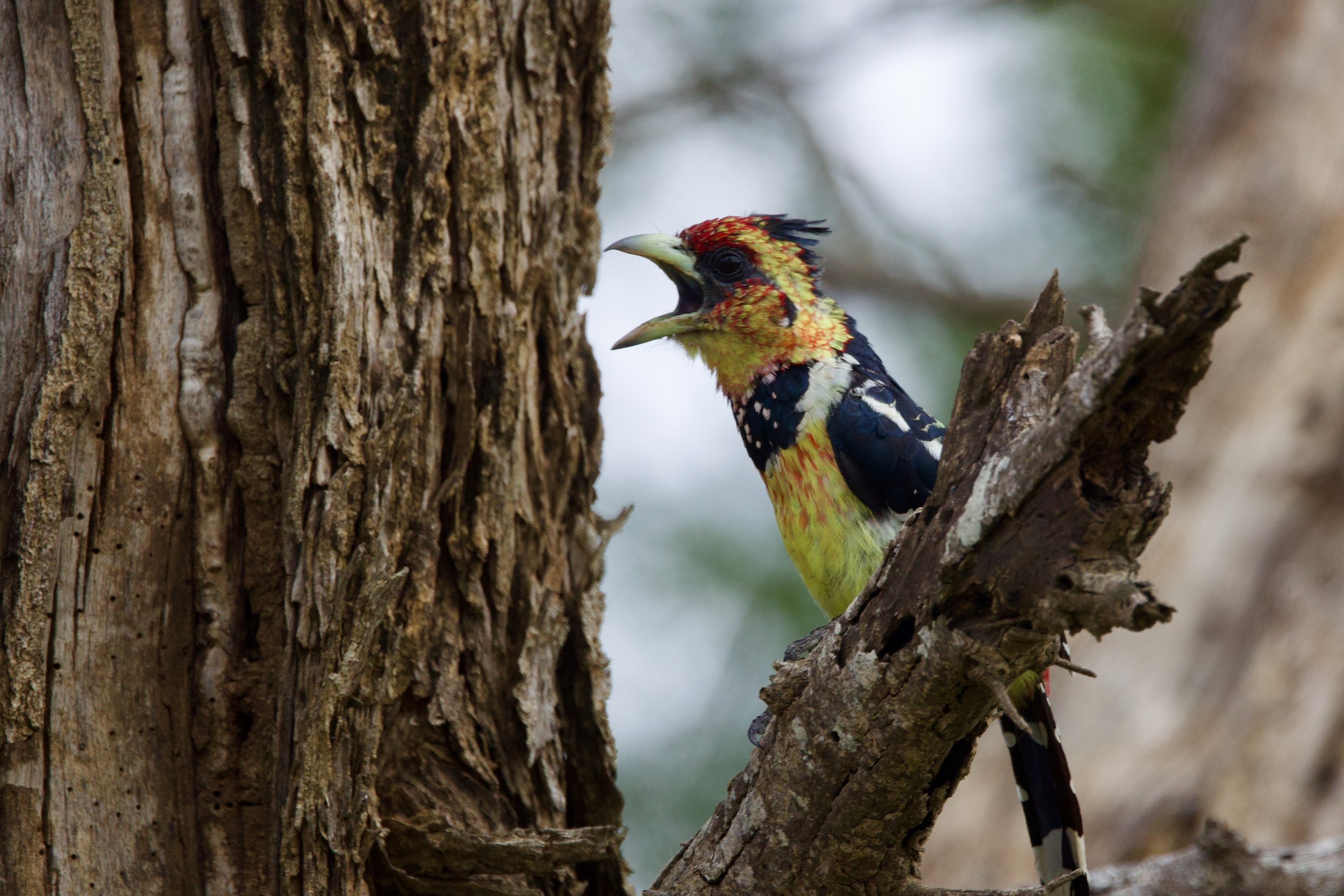 Untitled - 8 of 8.jpg