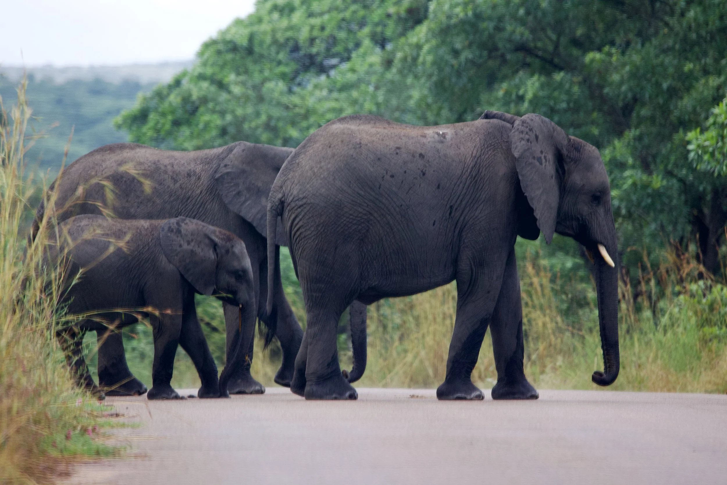 Untitled - 1 of 2.jpg