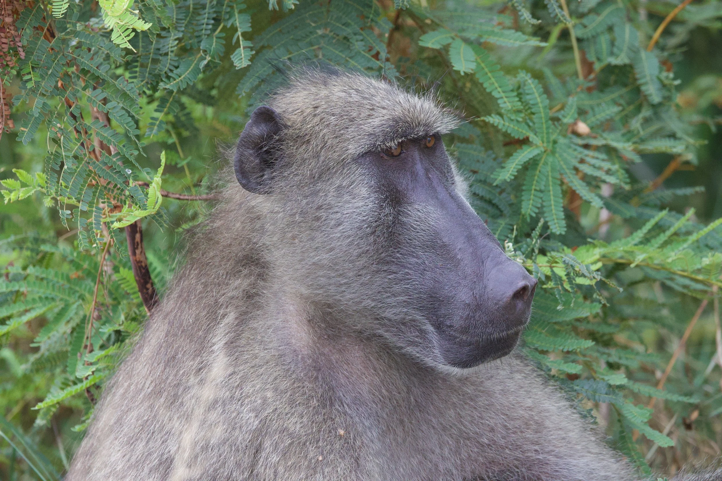 Untitled - 2 of 8.jpg