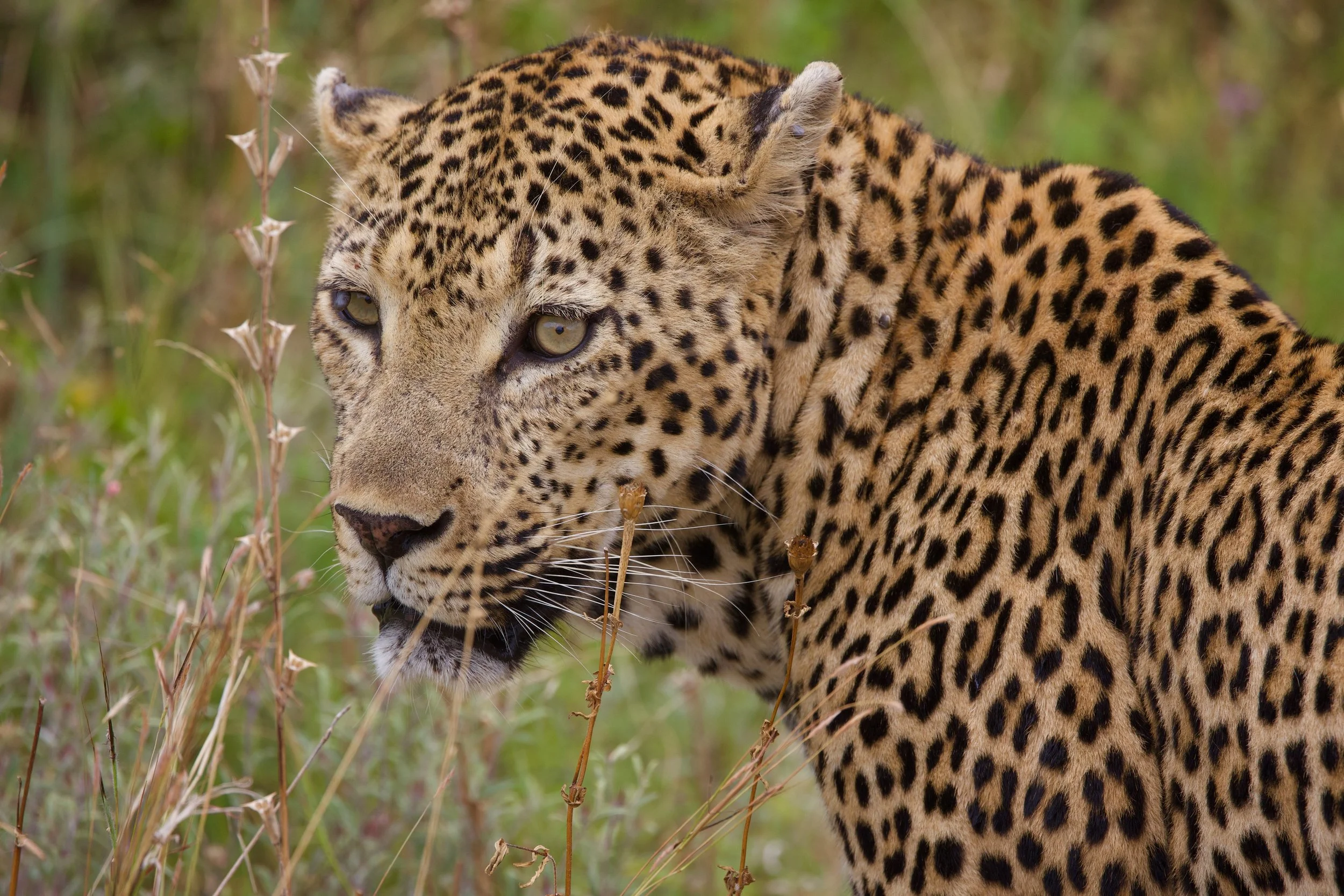 Favorites - 1 of 1.jpg