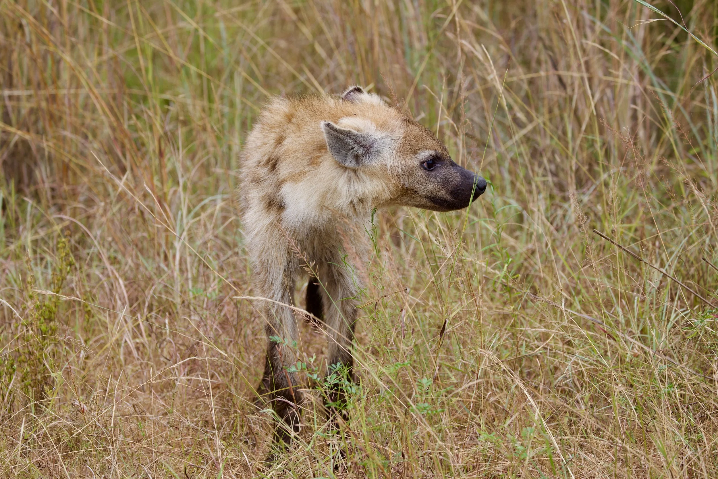 Untitled - 1 of 1.jpg