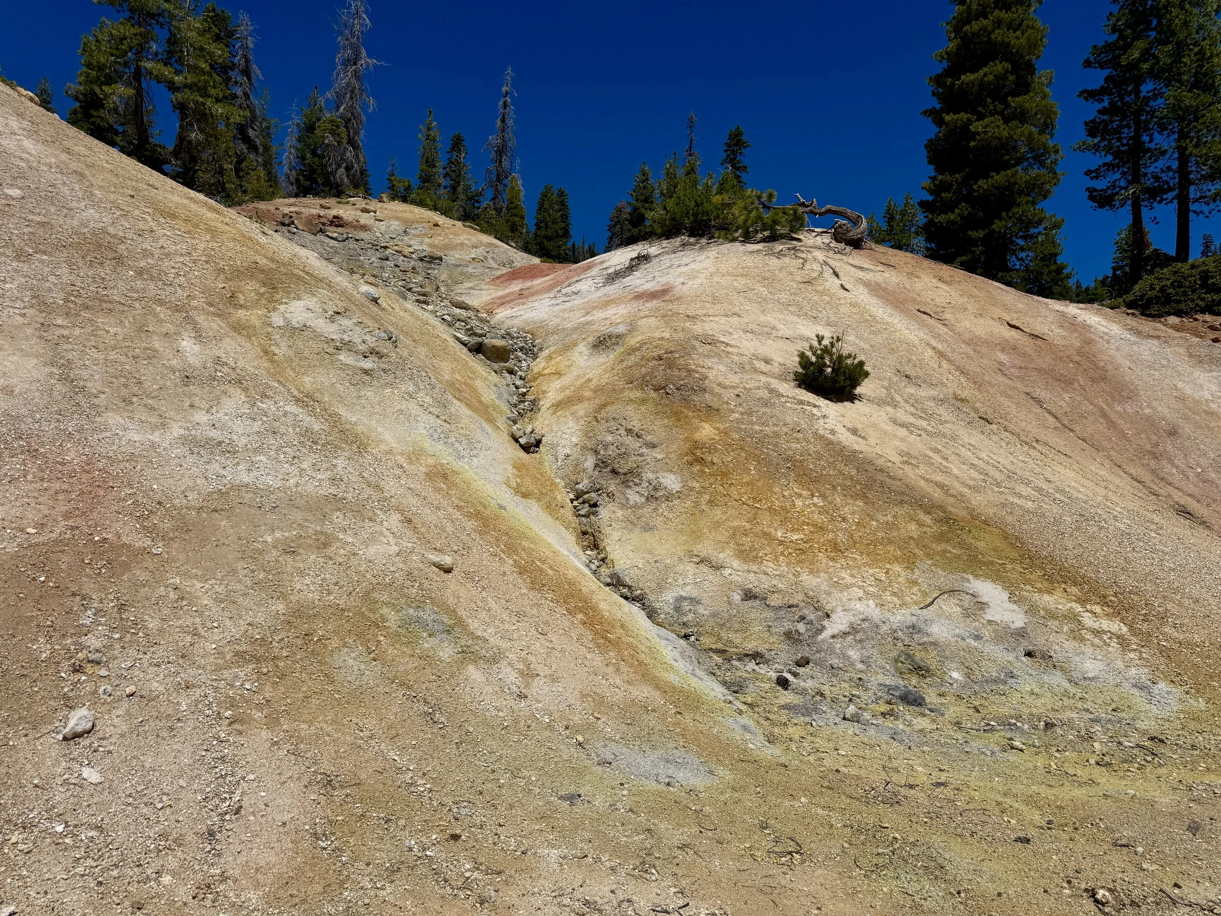 IMG_3311.JPG