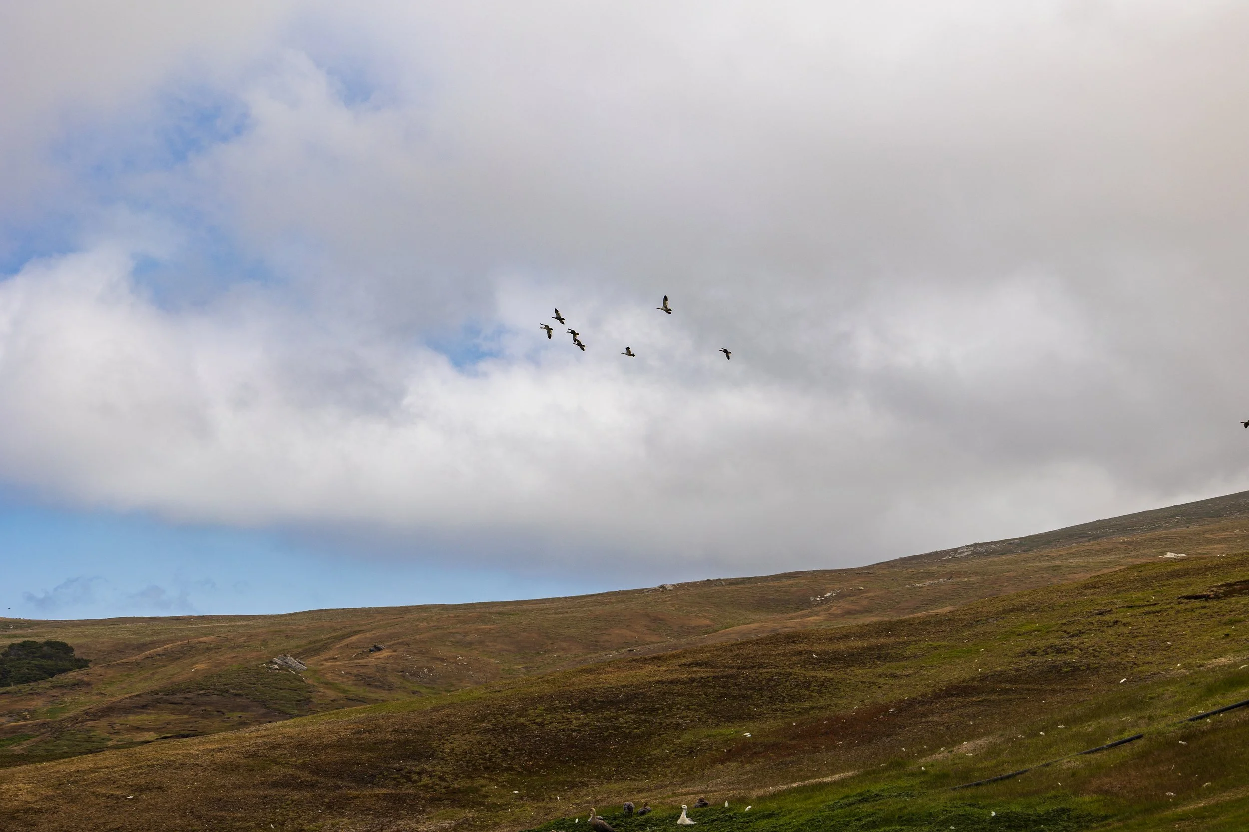 Blog 2 Fauklands-21.jpg