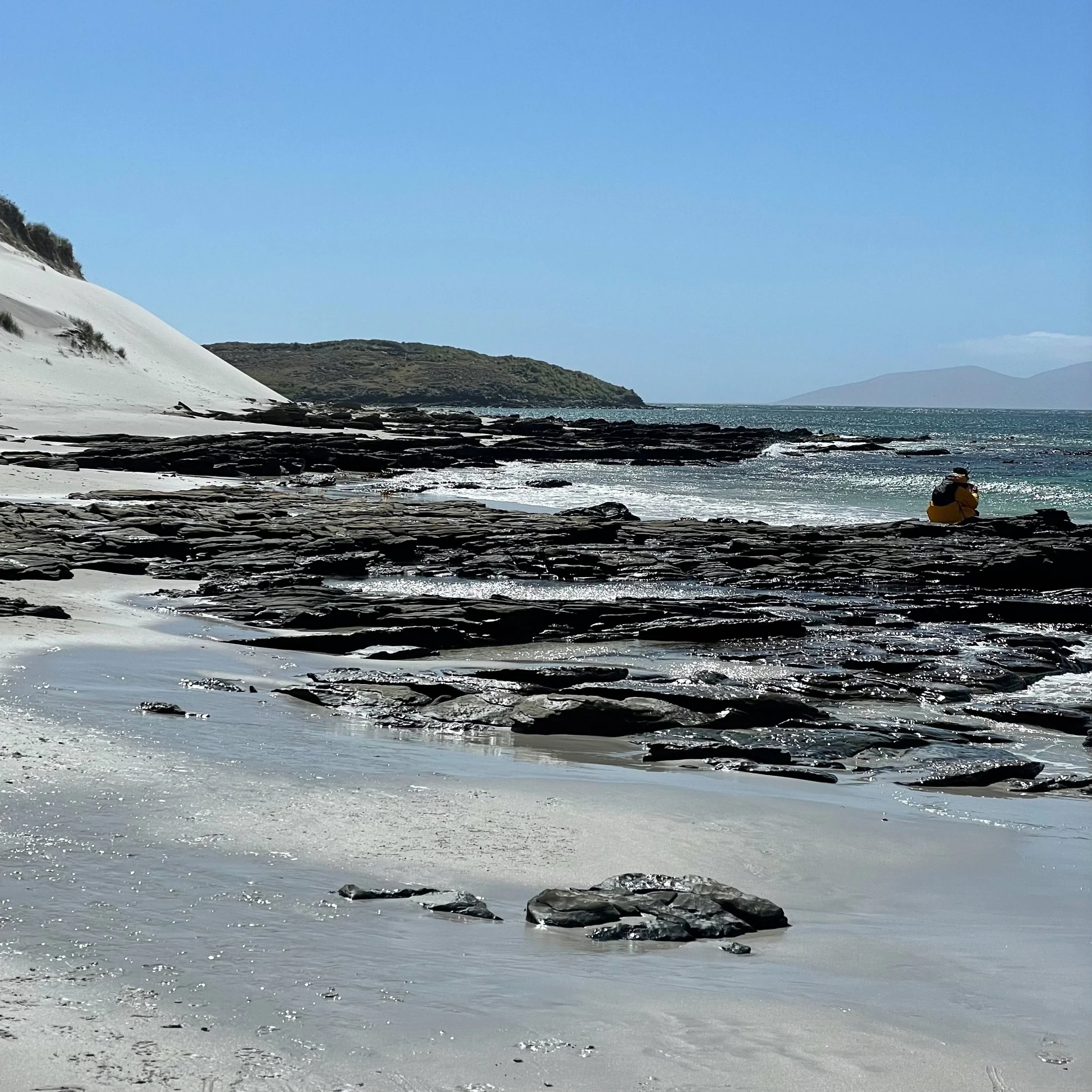 Blog 2 Fauklands-17.jpg