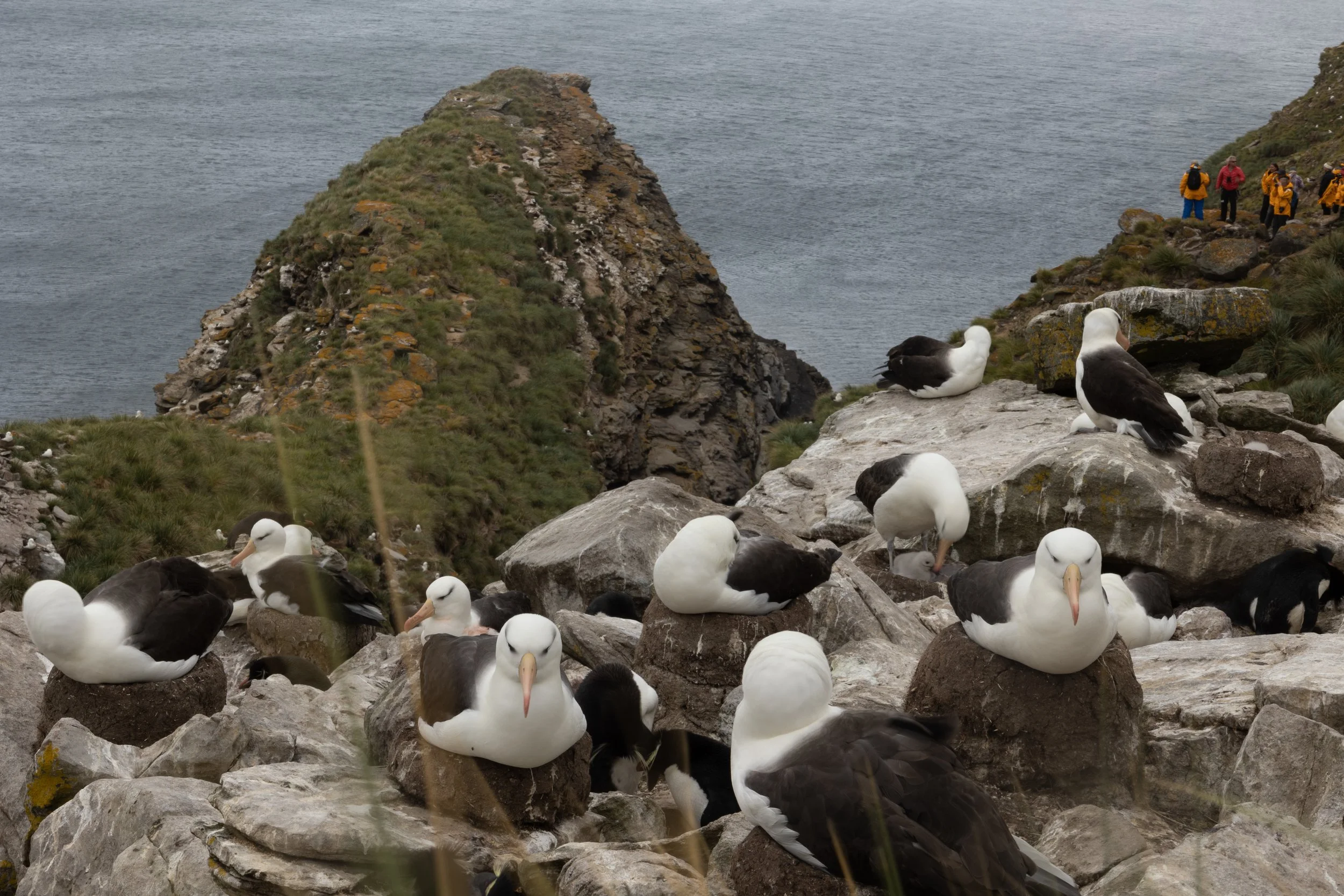 Blog 2 Fauklands-30.jpg