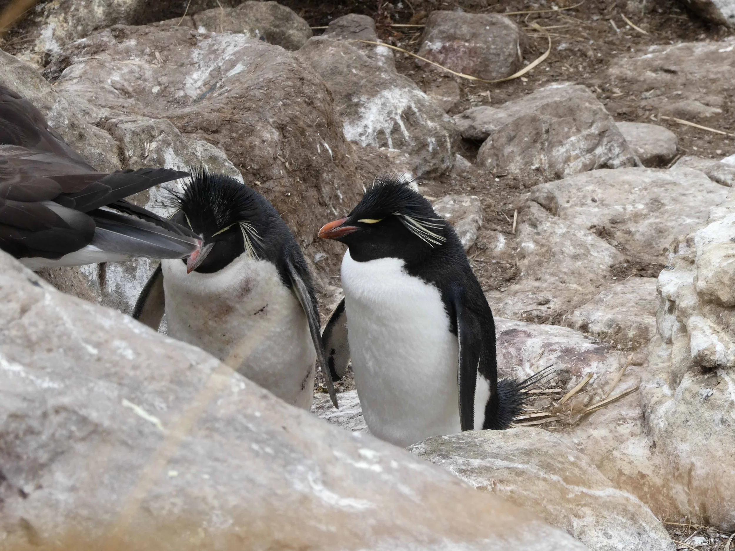 Blog 2 Fauklands-49.jpg