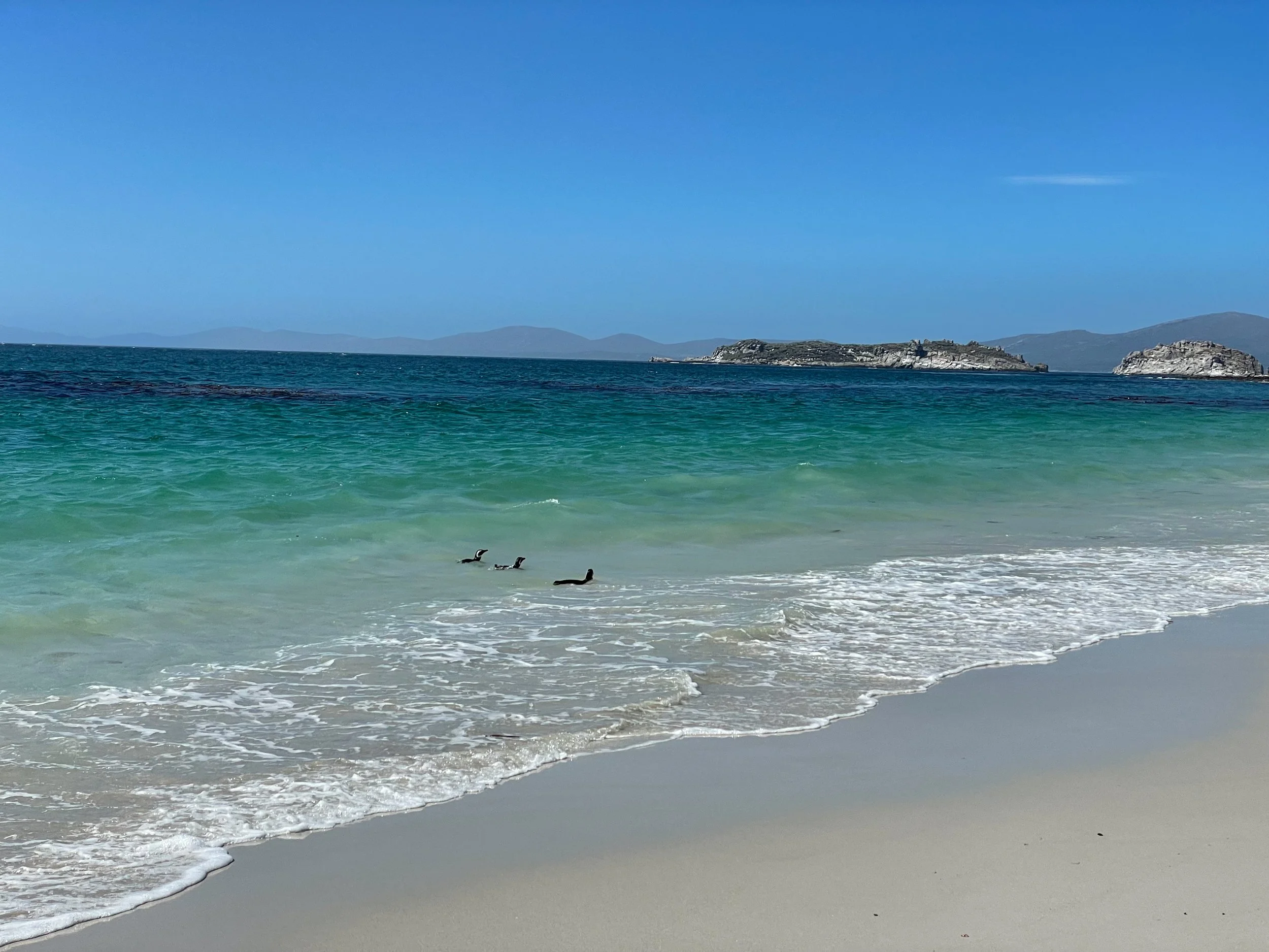 Blog 2 Fauklands-11.jpg