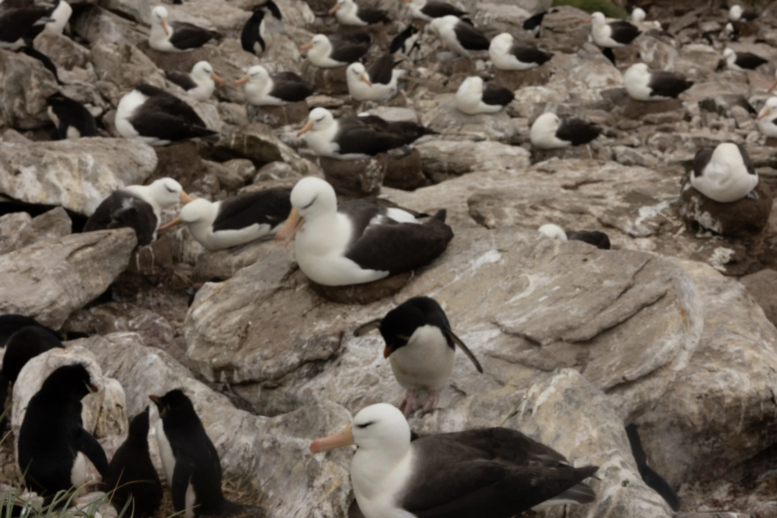 Blog 2 Fauklands-28.jpg