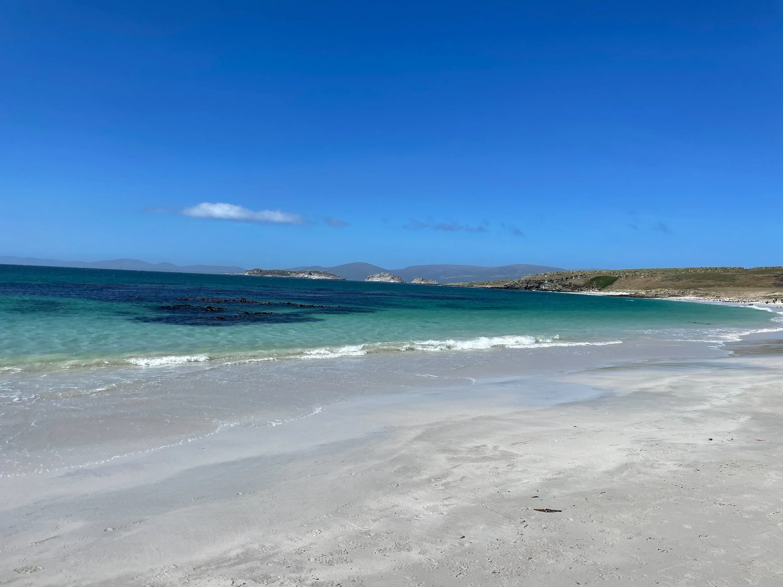 Blog 2 Fauklands-16.jpg