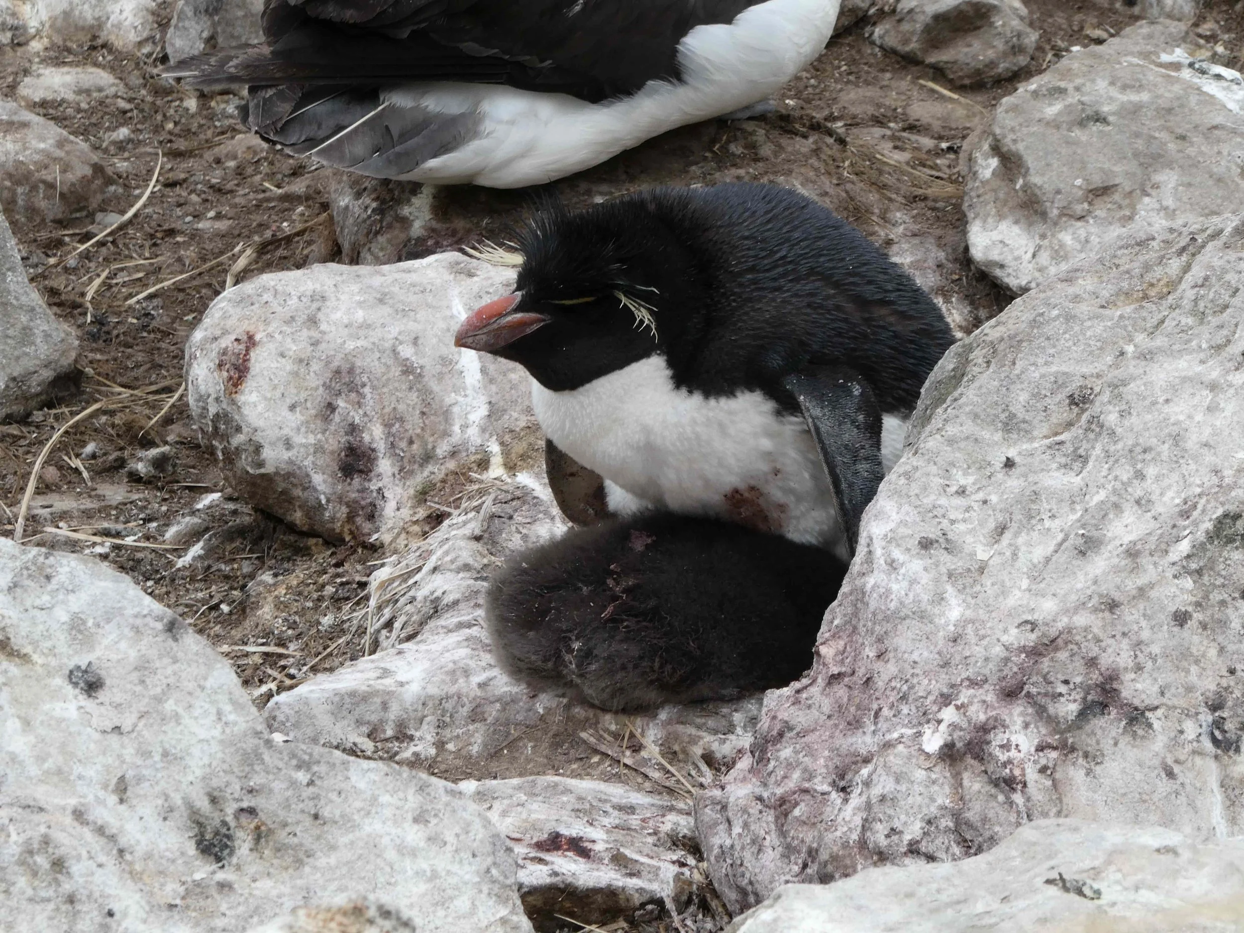 Blog 2 Fauklands-50.jpg