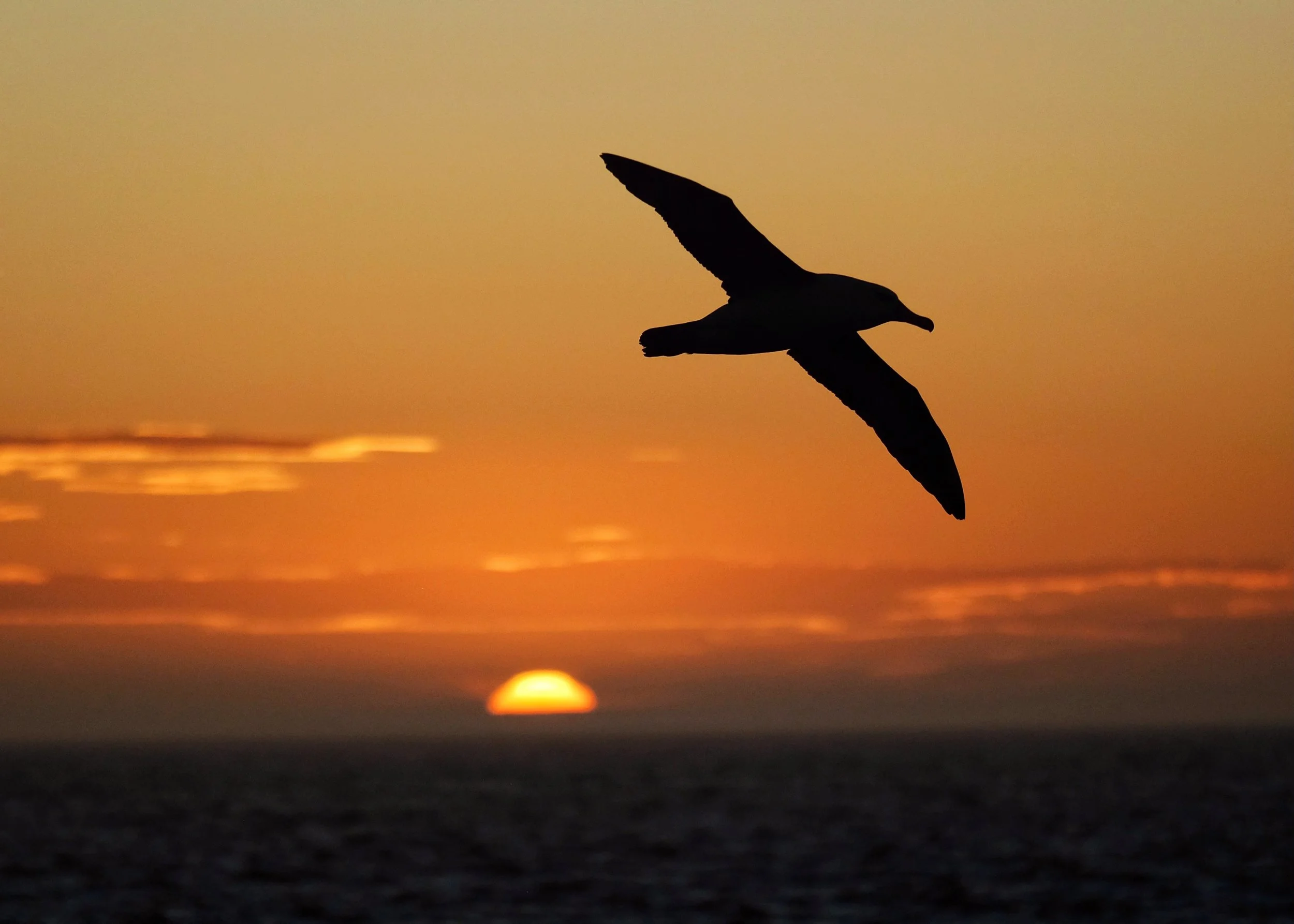 Rene LaMontagna 507 01.jpeg