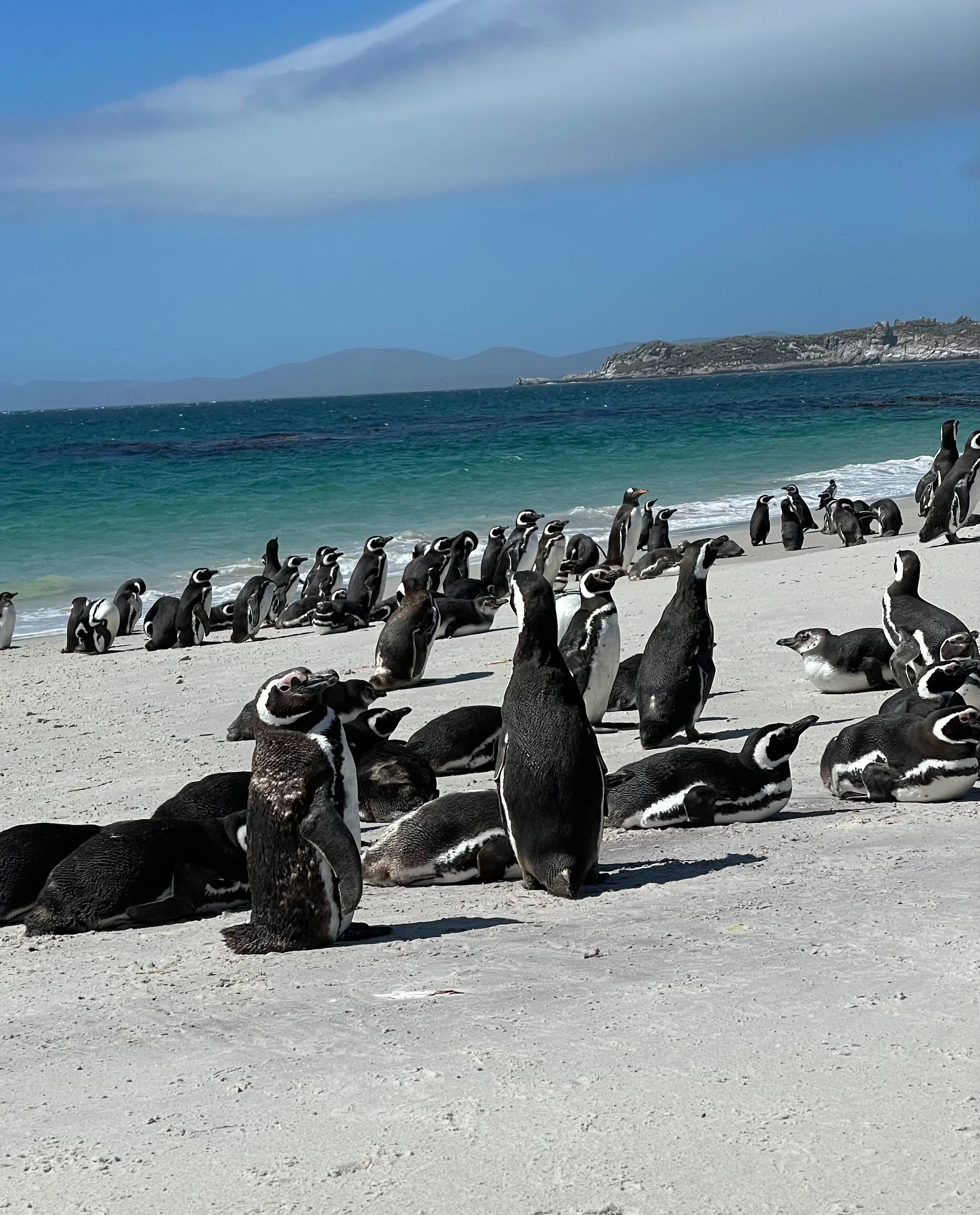 Blog 2 Fauklands-19.jpg