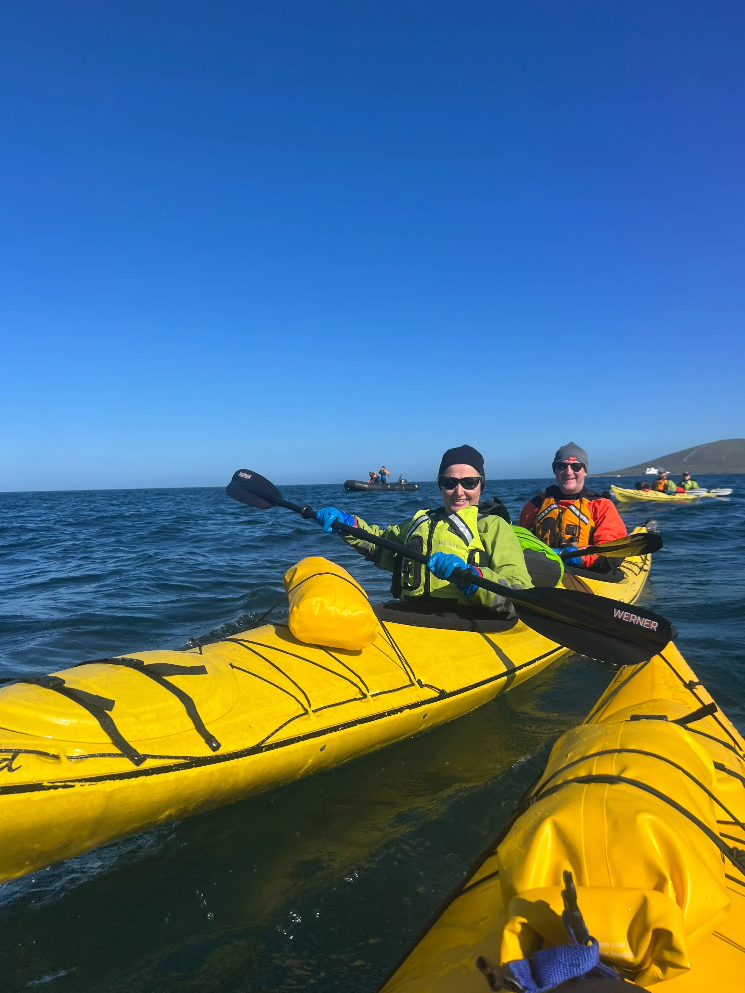 Blog 2 Fauklands-2.jpg