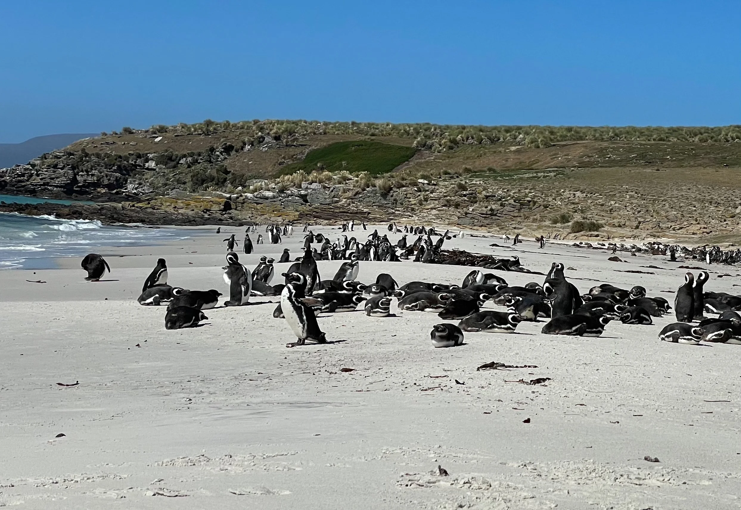 Blog 2 Fauklands-10.jpg