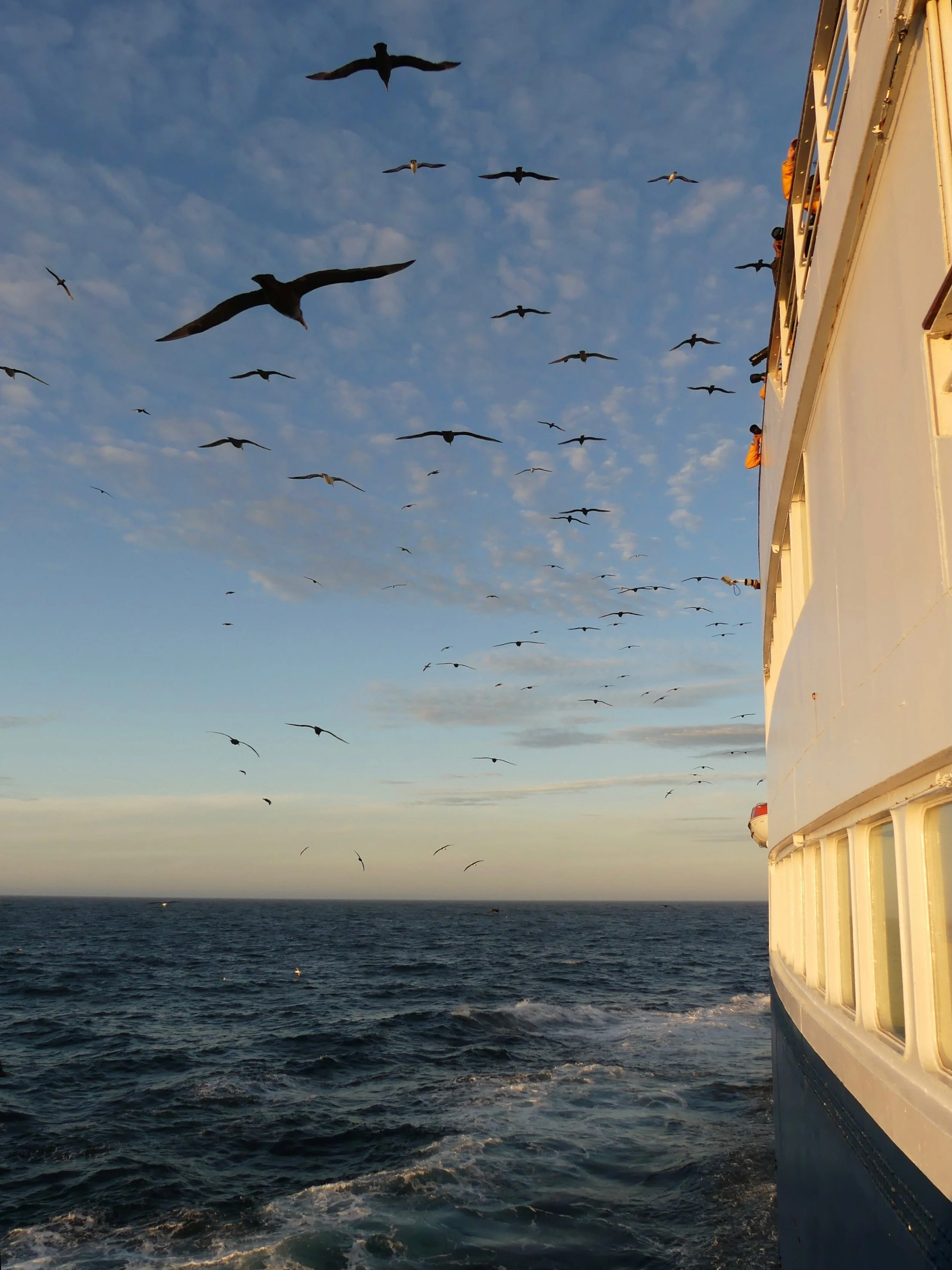 Lorna Frier 409 05.jpeg