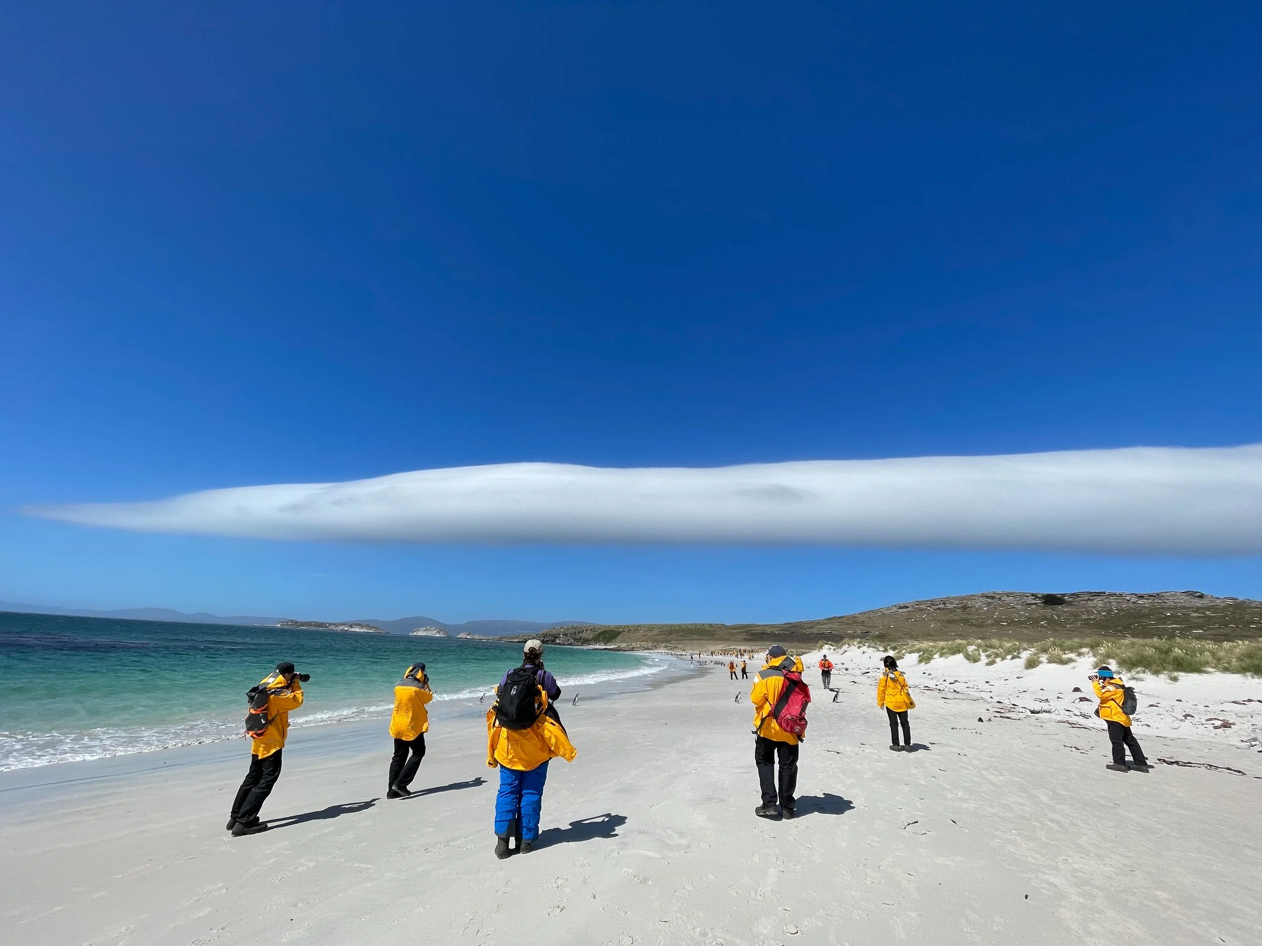 Blog 2 Fauklands-15.jpg