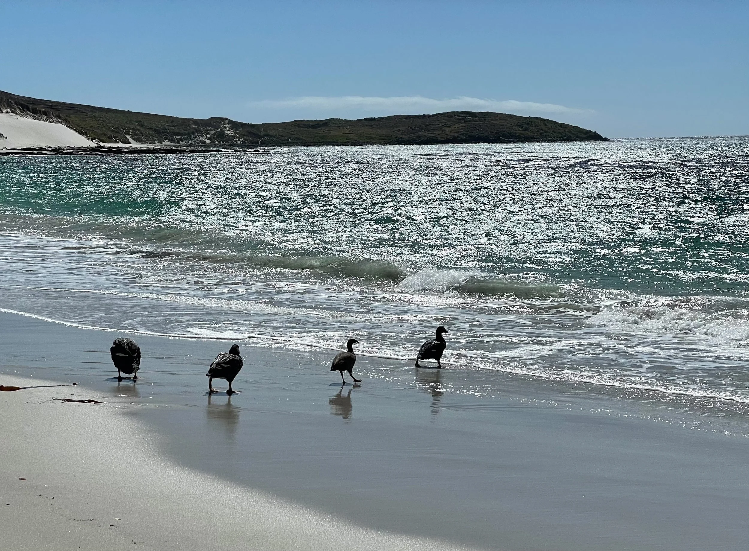 Blog 2 Fauklands-13.jpg