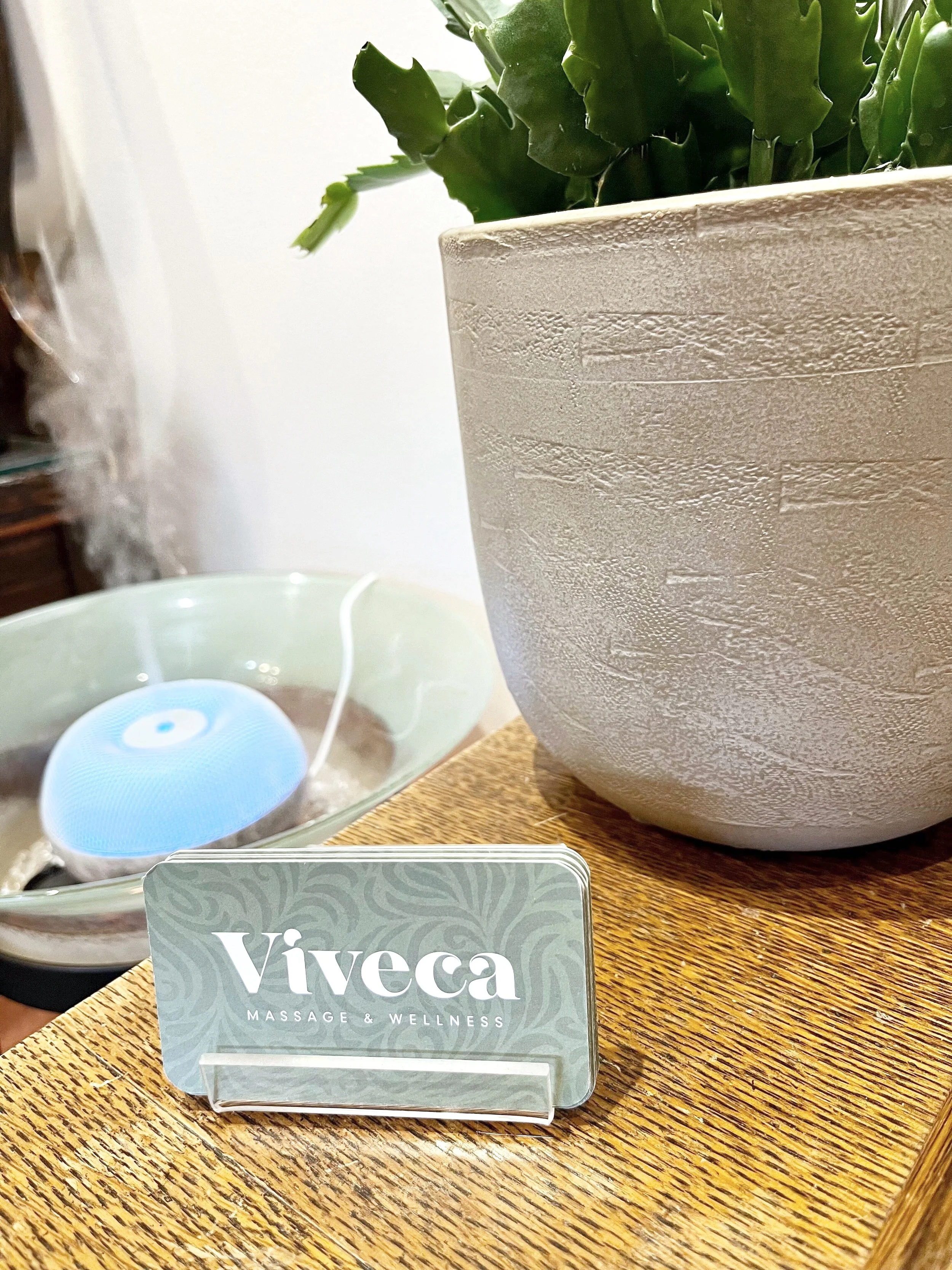 Business cards for Viveca Massage & Wellness sit in a holder beside a potted Christmas cactus. In the background is an essential oil diffuser.