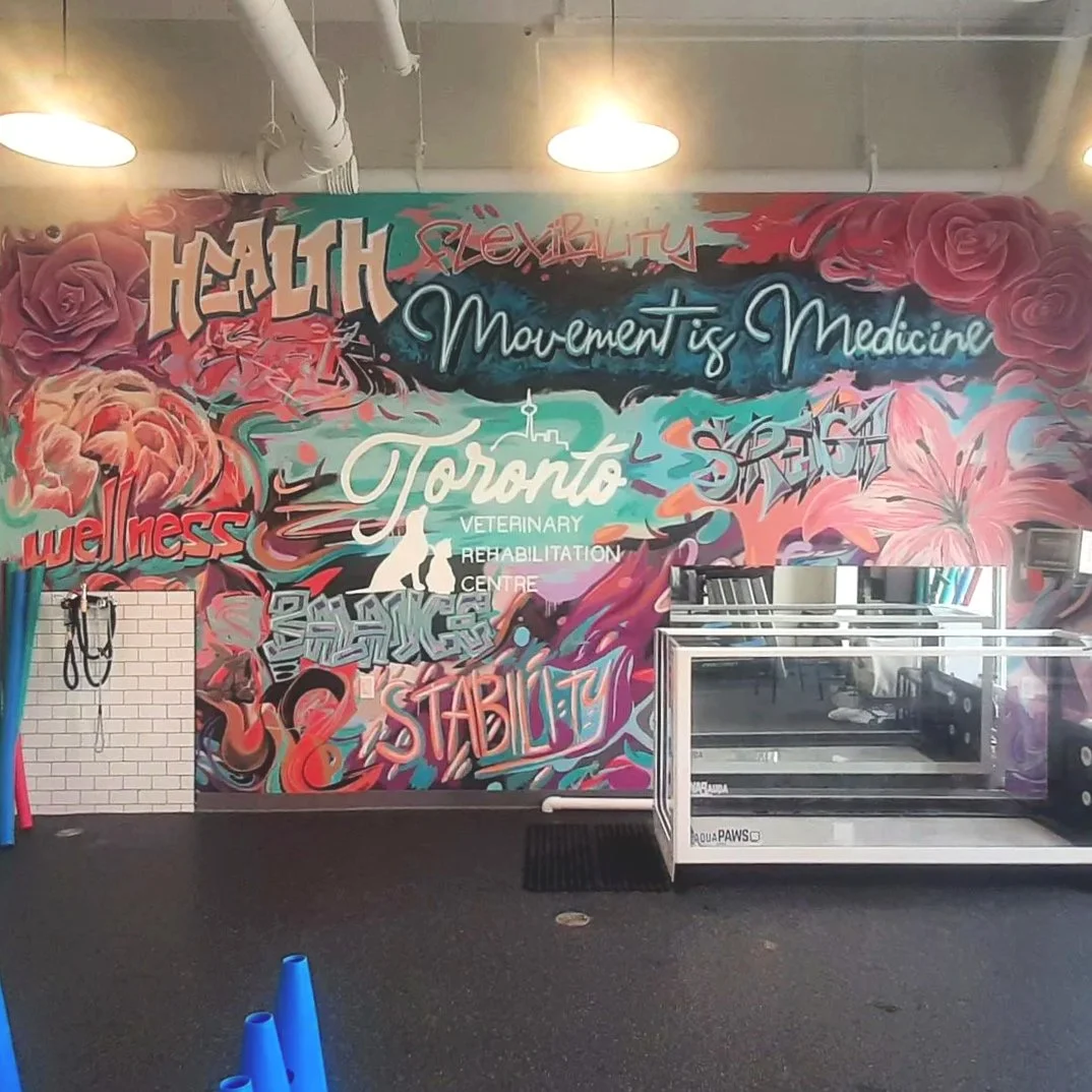 Even our furry friends deserve a beautiful space. Mural walls can make for excellent backdrops to photos and videos taken in the space