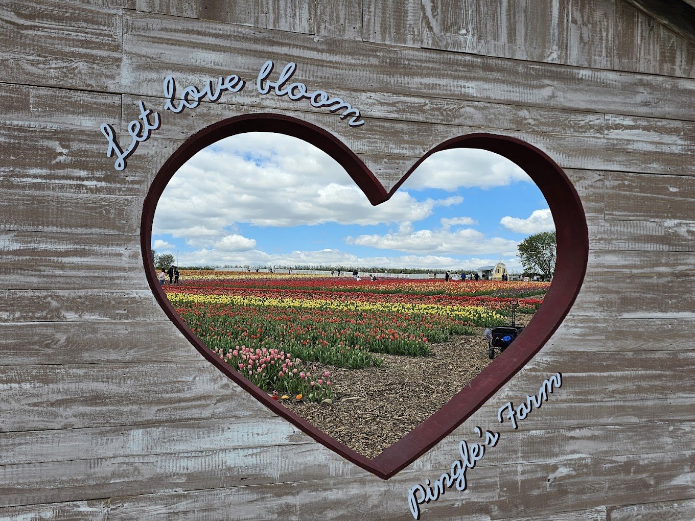 Hand-painted lettering with drop shadow