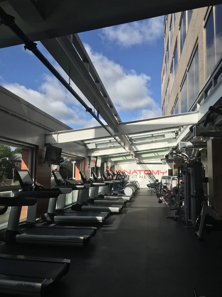 anatomy fitness logo mural.jpg