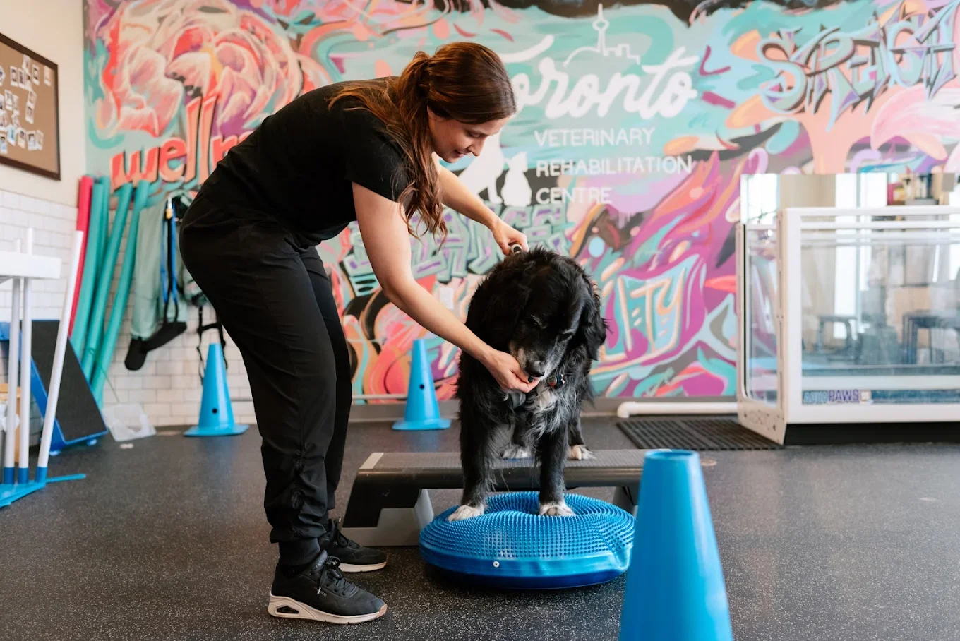 TORONTO VETERINARY REHABILITATION CENTRE