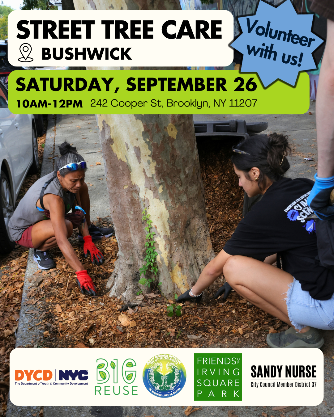 Street Tree Care &amp; Cleanup
