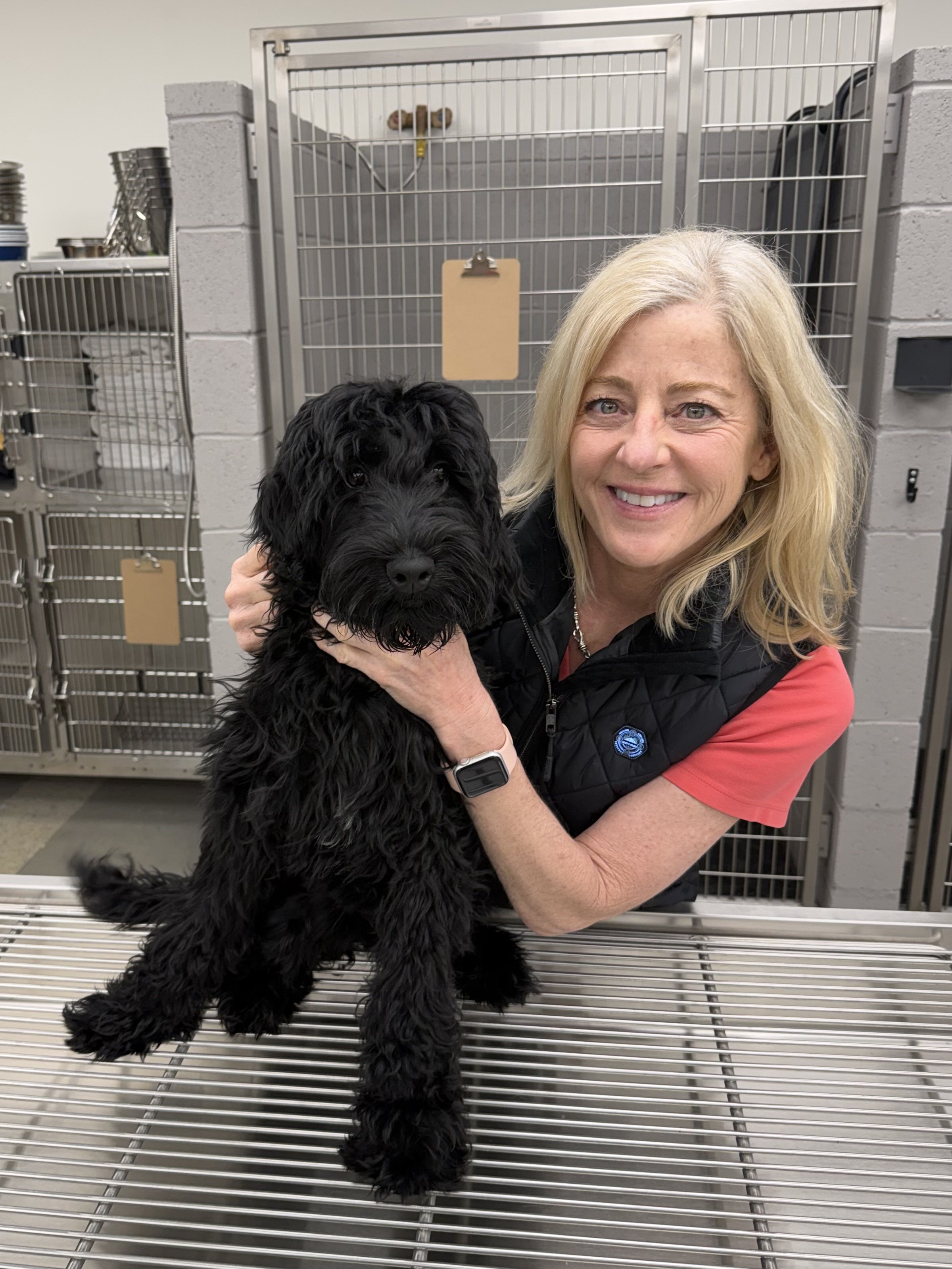 Onyx is a five month old standard goldendoodle ready for his new home. His adoptive mama had unexpected major surgery, and, due to no fault of his own, this black beauty is looking for his new family. He's a beautiful, sweet boy who will be around 50