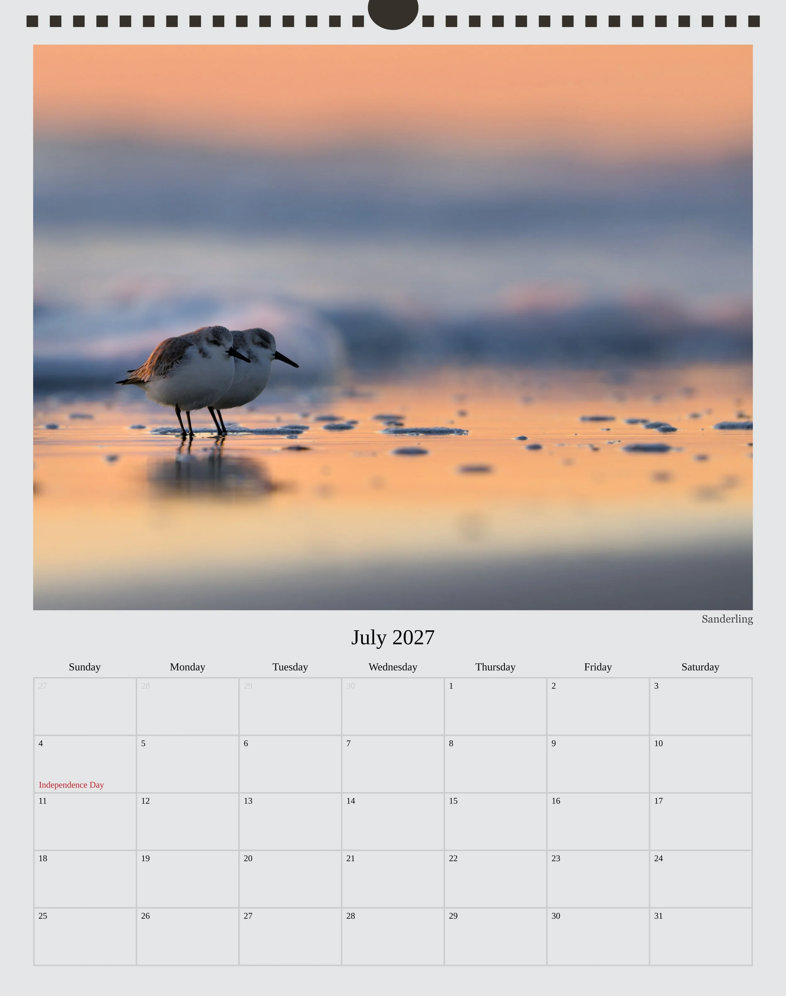 A photo of the July page in a 2027 wildlife calendar showing 2 sanderlings huddled together in the wake of the receeding wave with the sunrise glow of blue, orange, and purple hues across the image.