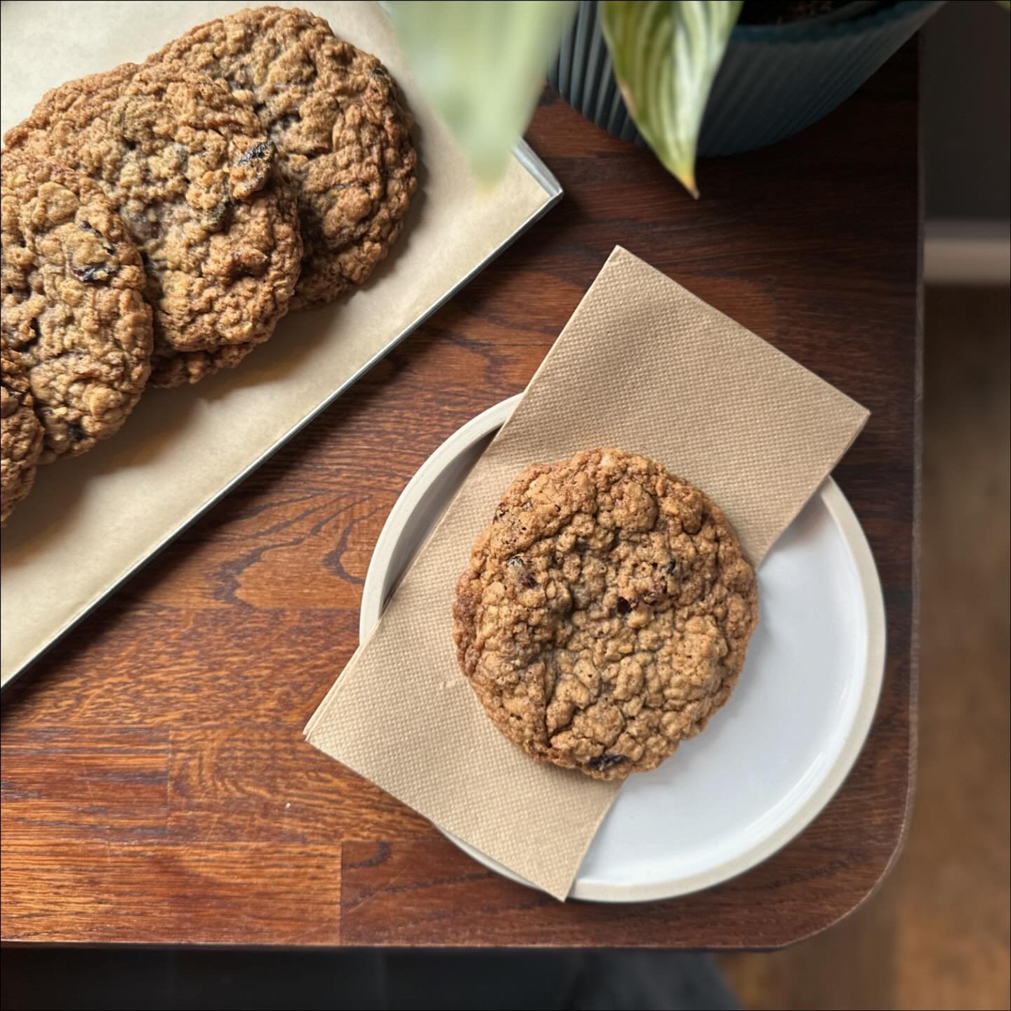 Irene has developed the most delicious new cookie for us: Orange, Cranberry &amp; Oat and it basically tastes like Christmas in every bite 😍

Try it now in both #Leatherhead and #Epsom and you&rsquo;ll start hearing the faint whisper of Mariah Carey